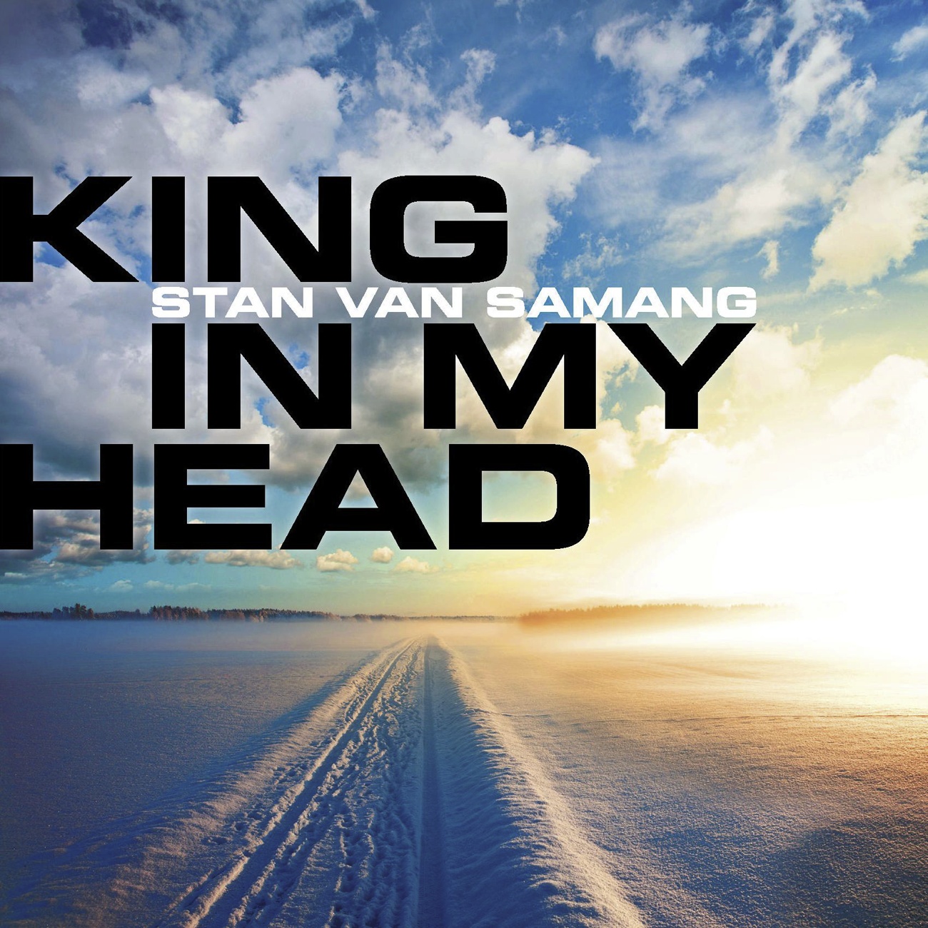 King In My Head (Album Version)