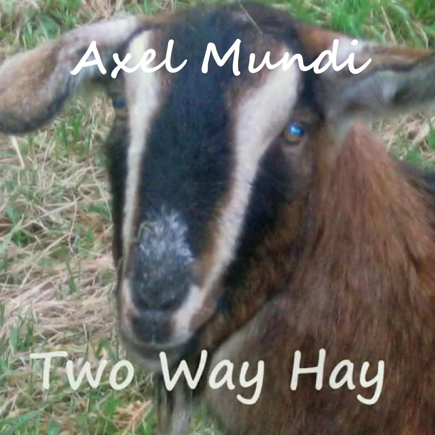Two Way Hay