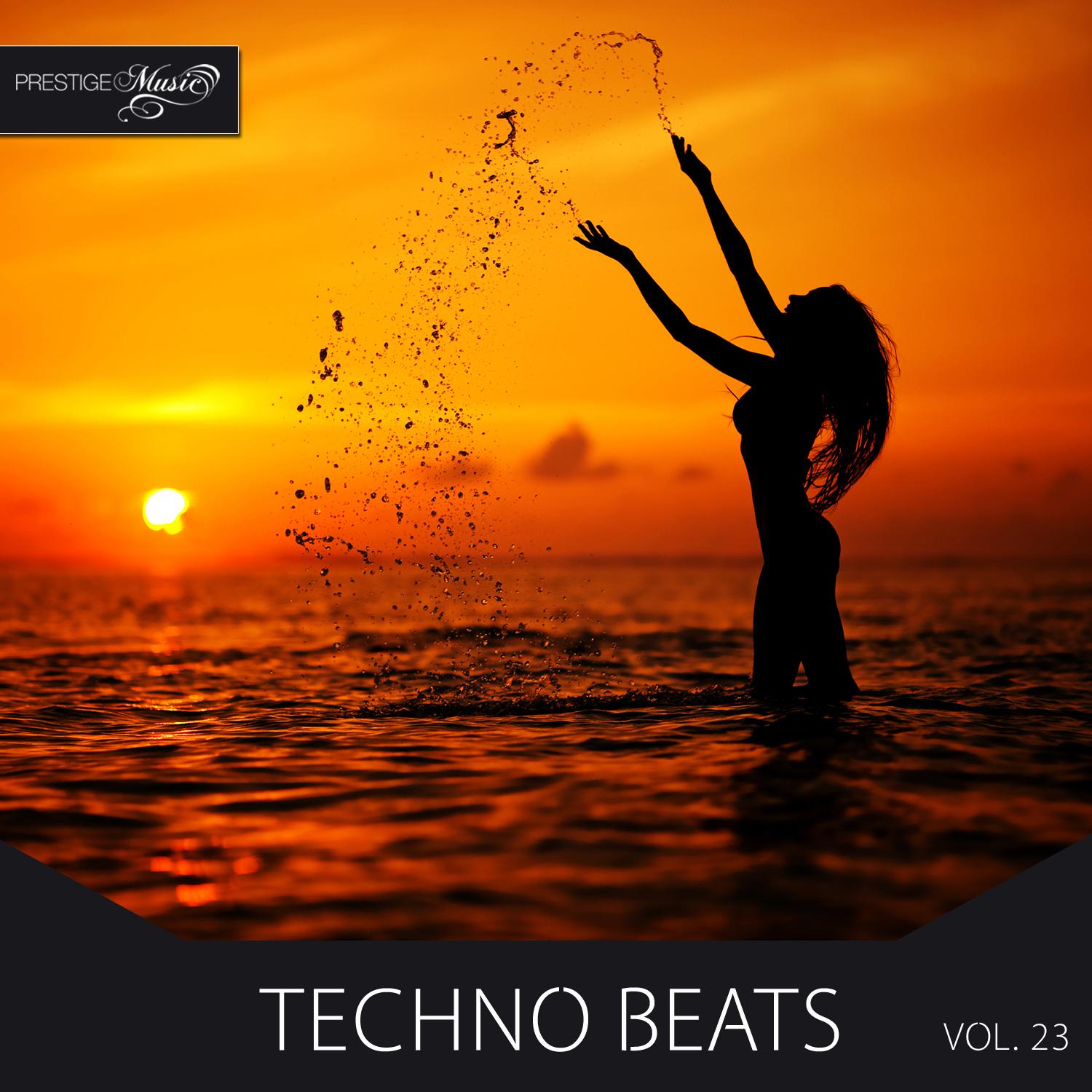 Techno Beats, Vol.23