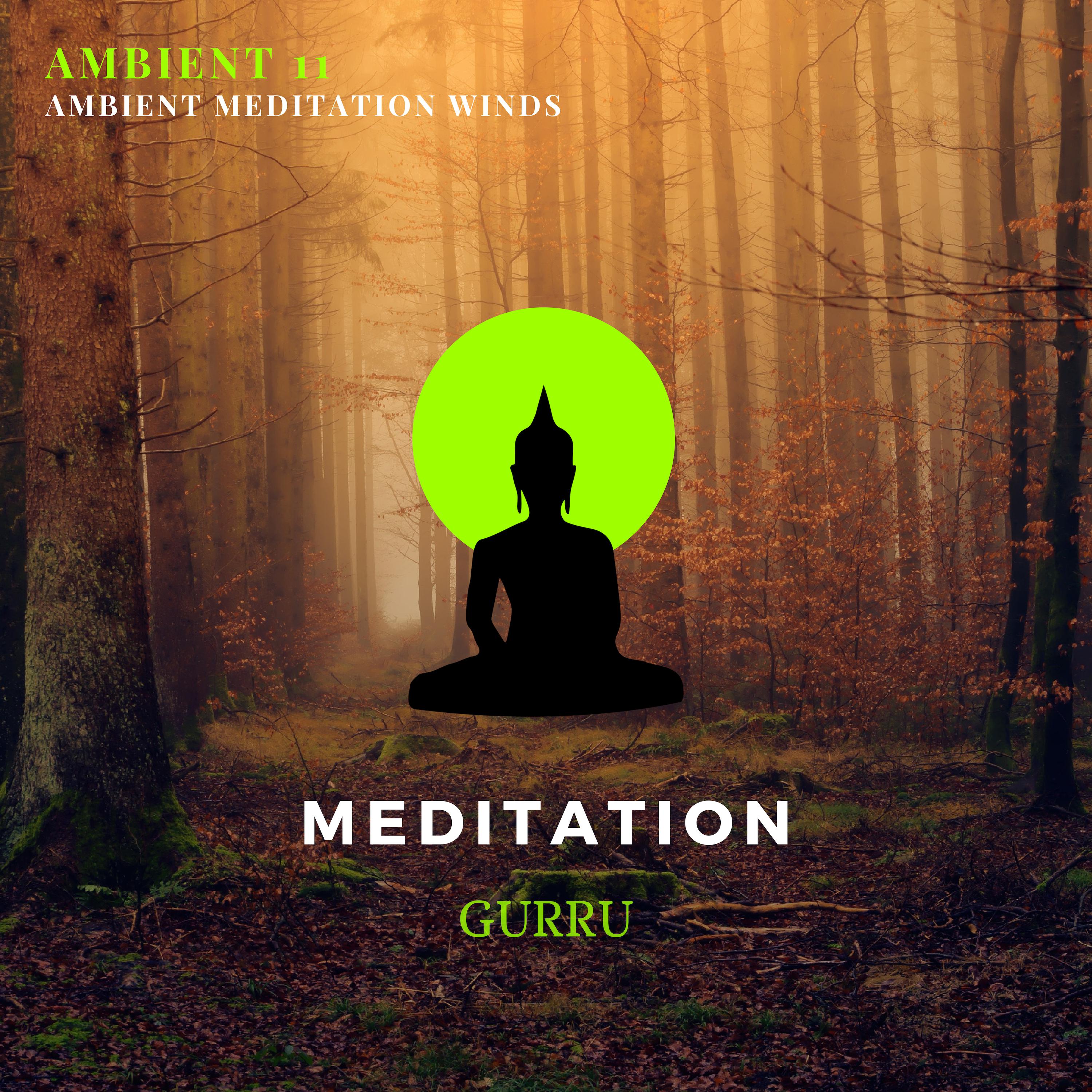 Ambient Meditation Winds