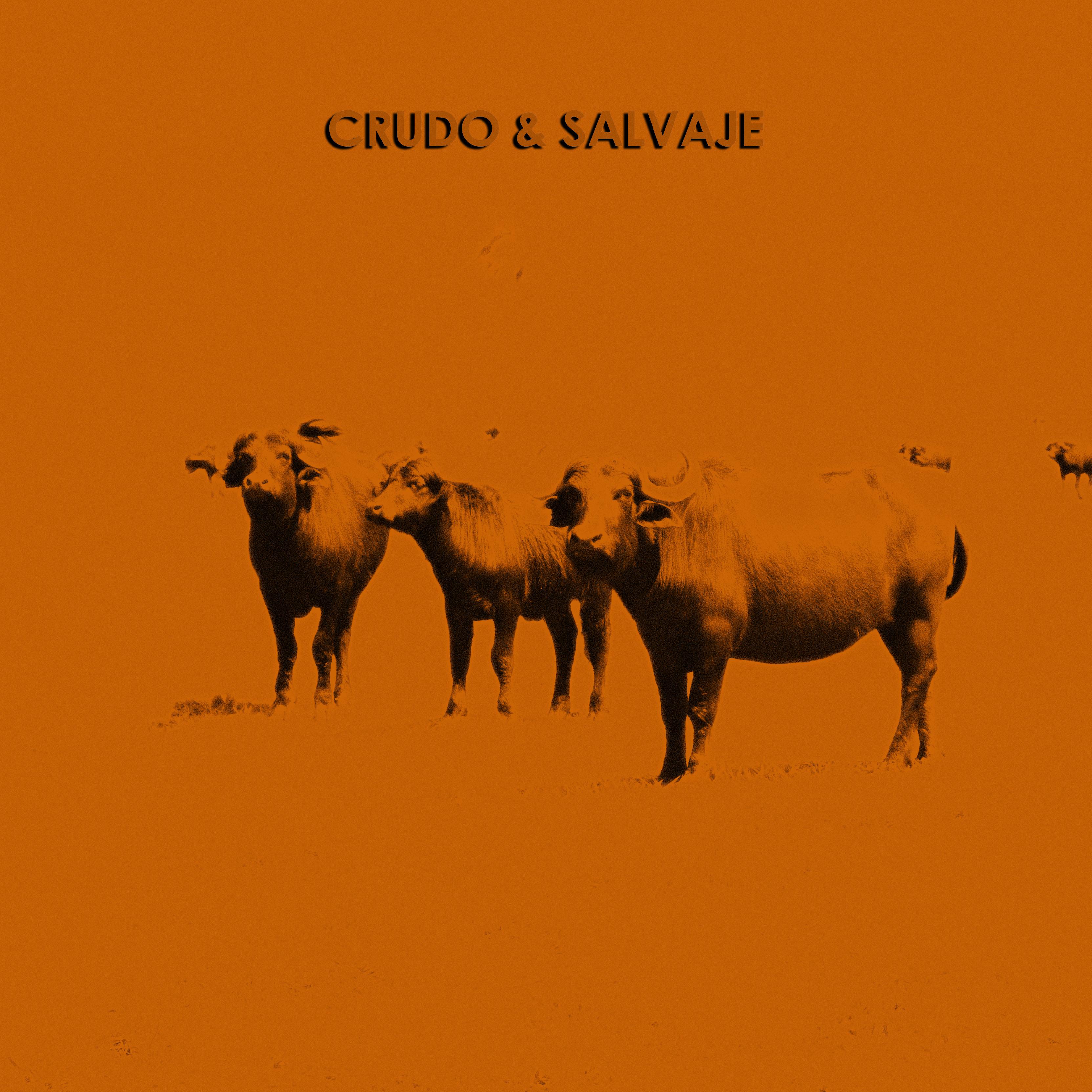 Crudo Y Salvaje