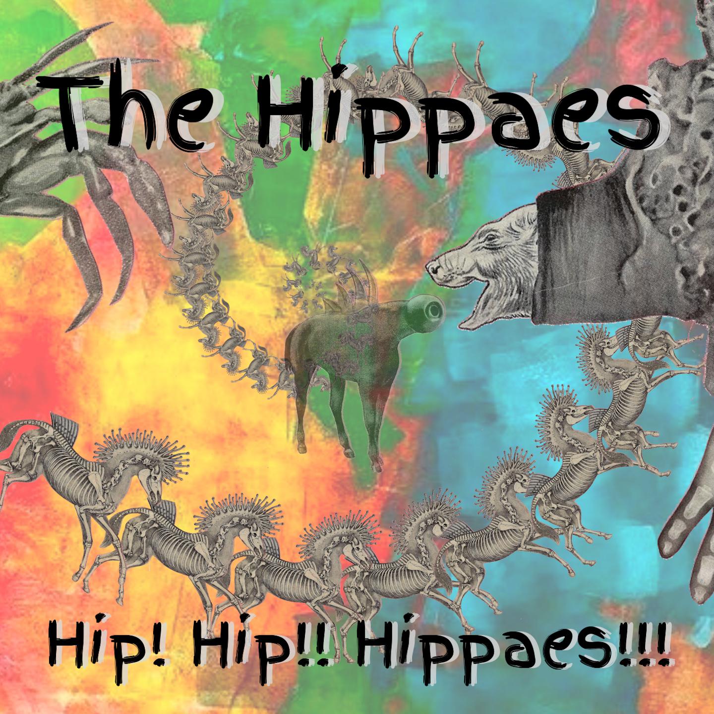 Hip! Hip!! Hippaes!!!