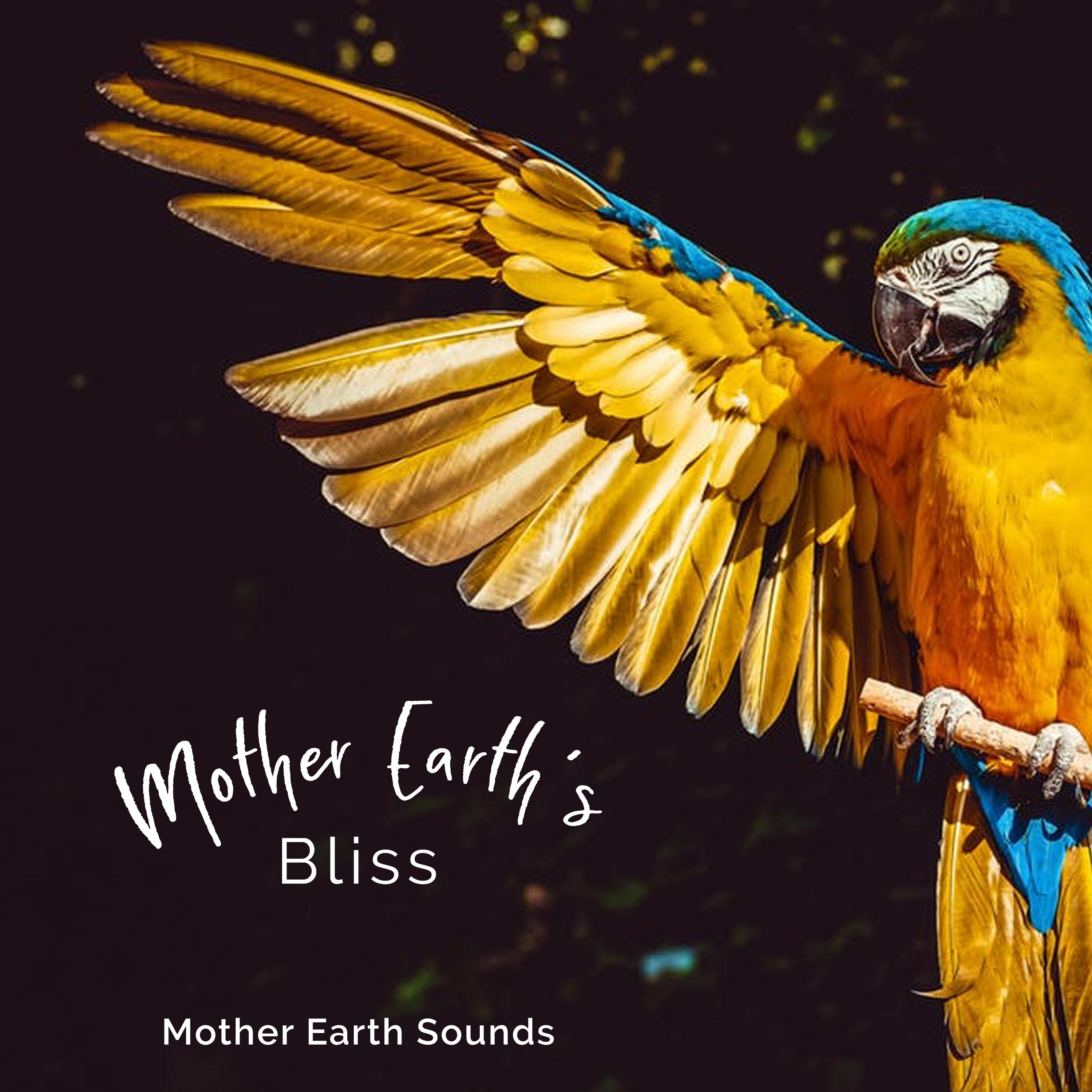 Mother Earth's Bliss