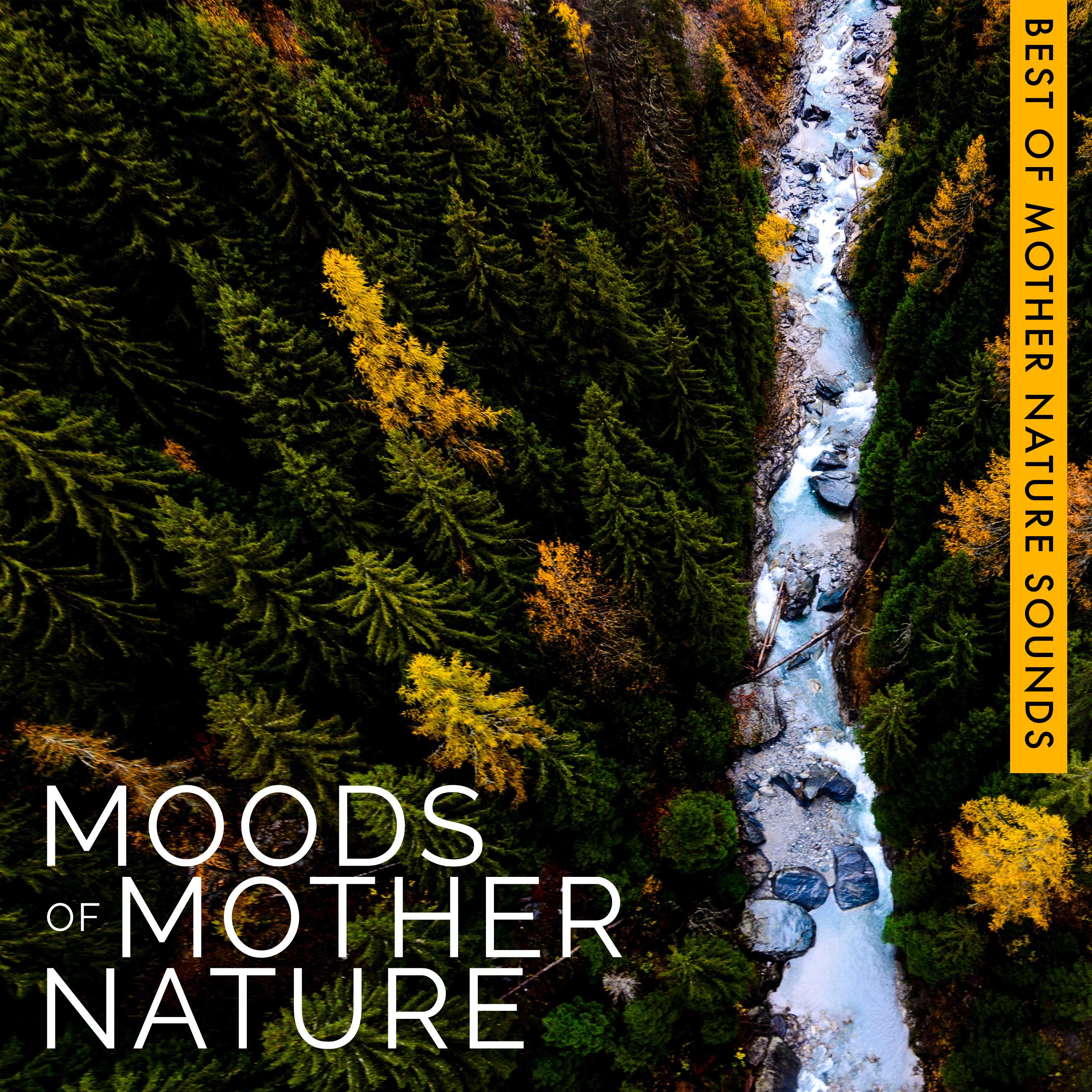 Moods of Mother Nature