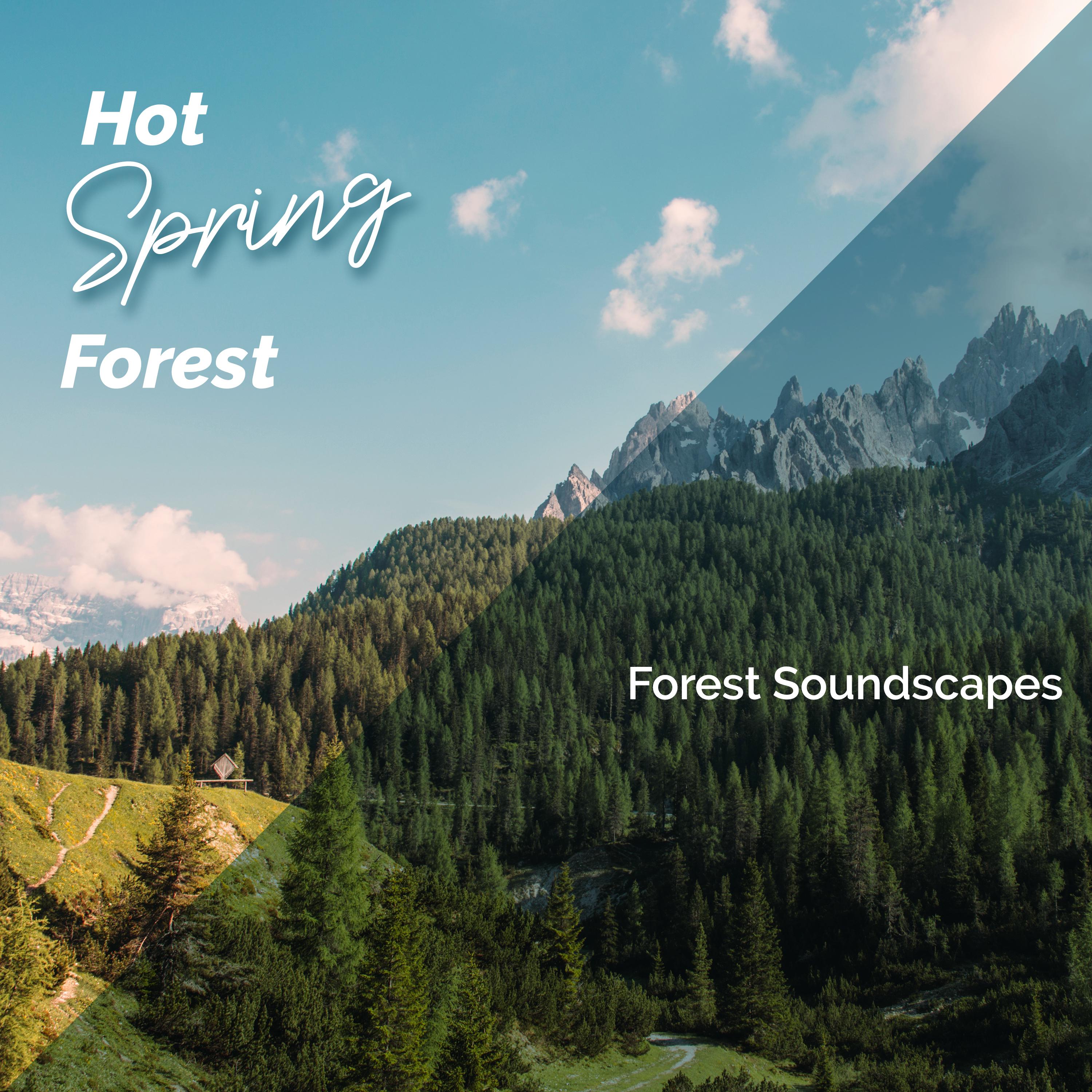 Hot Spring Forests