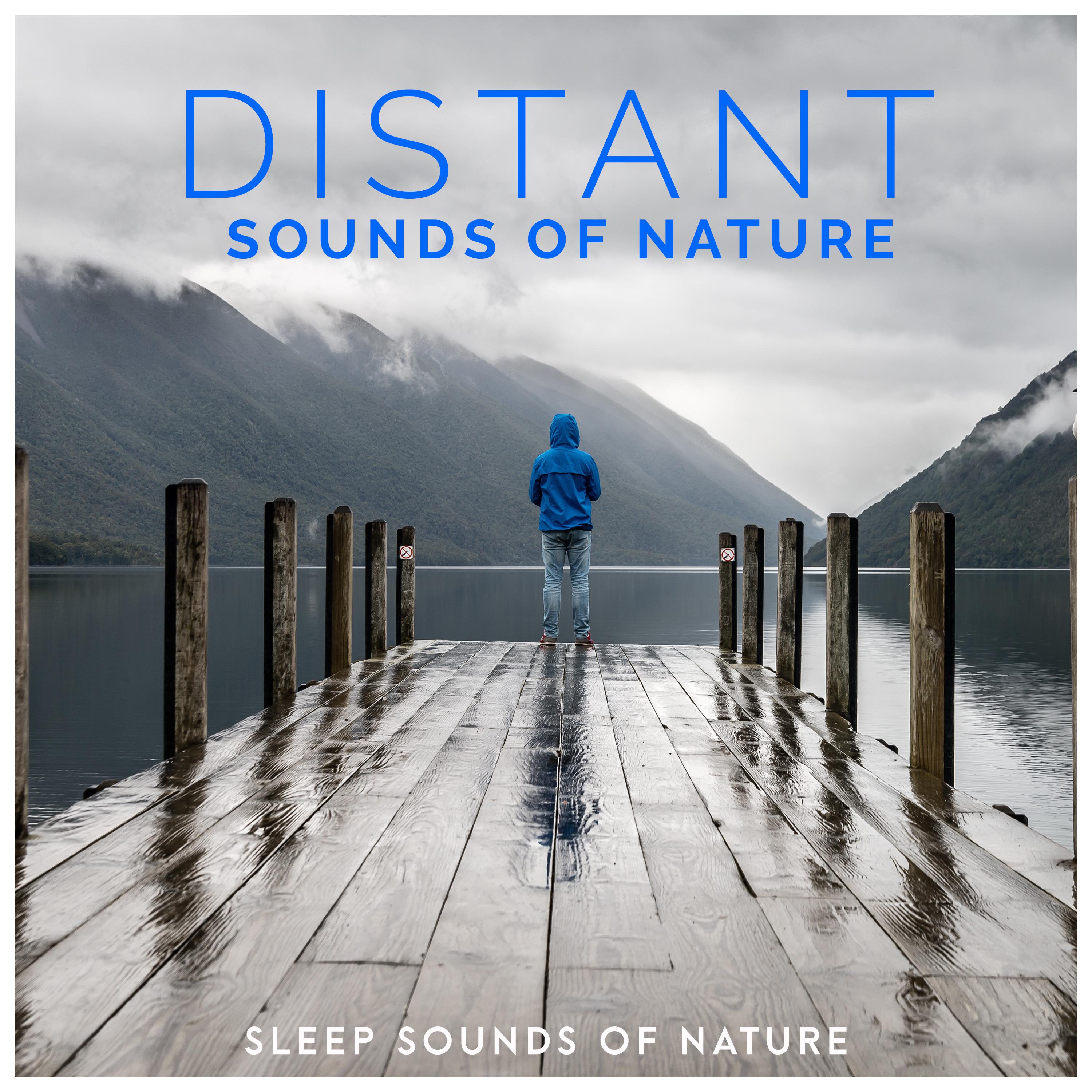 Distant Sounds of Nature