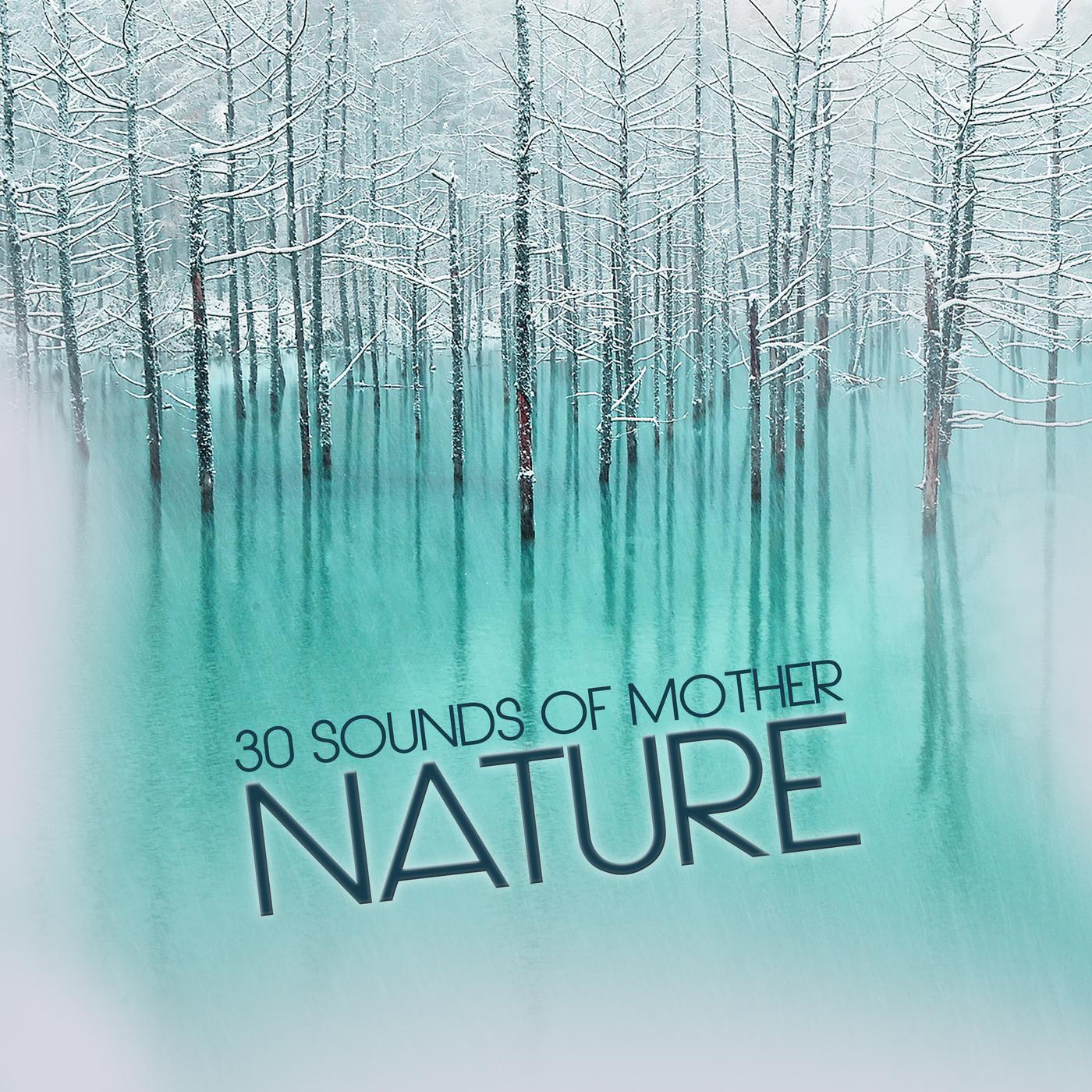 30 Sounds from Mother Nature