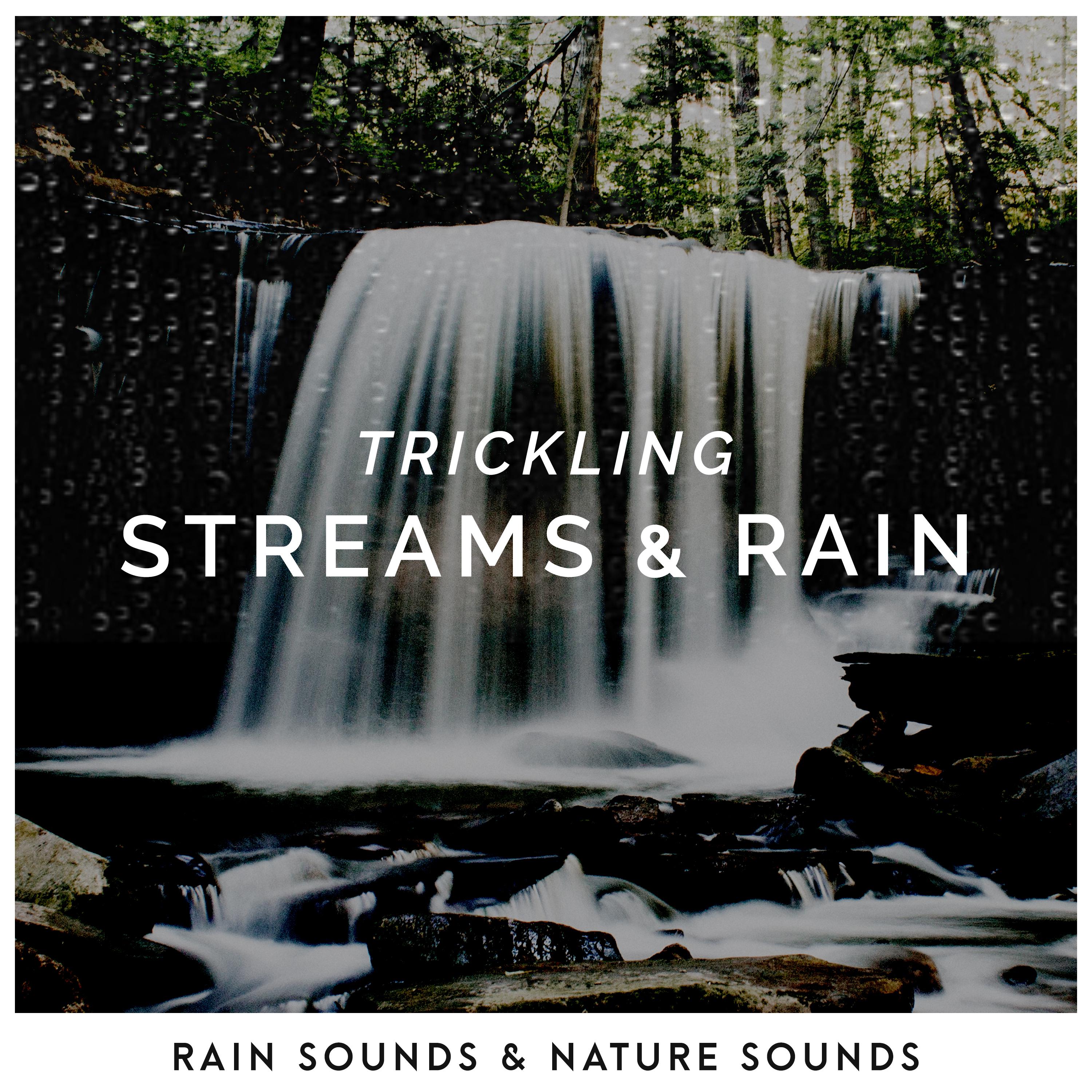 Trickling Streams & Rain