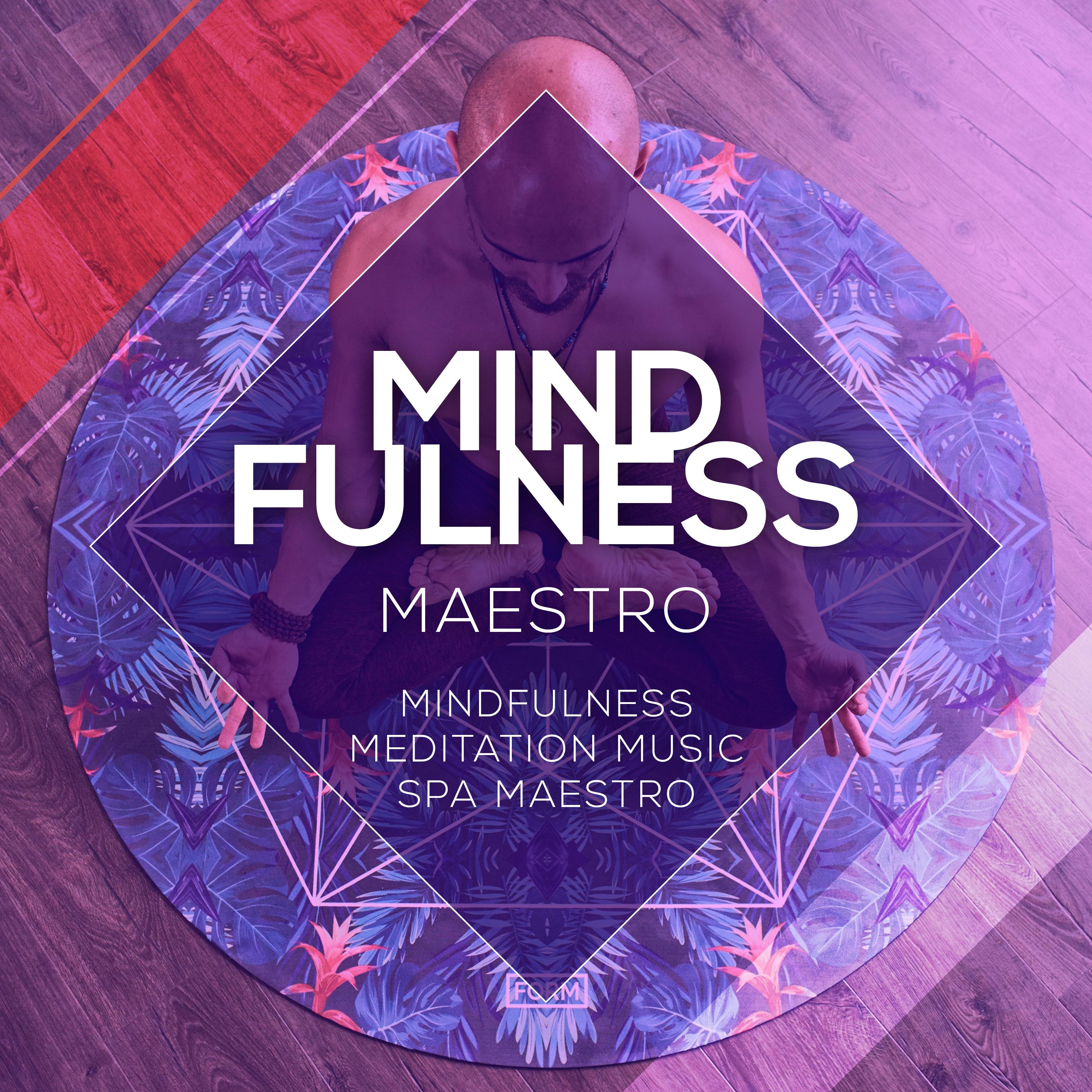 Mindfulness Maestro