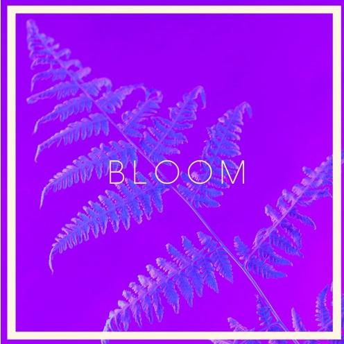 Bloom