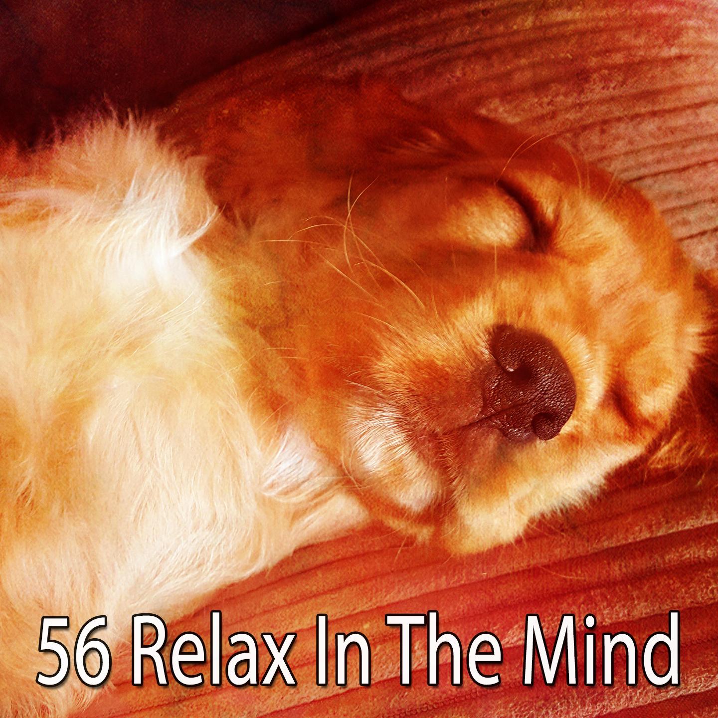 56 Relax in the Mind