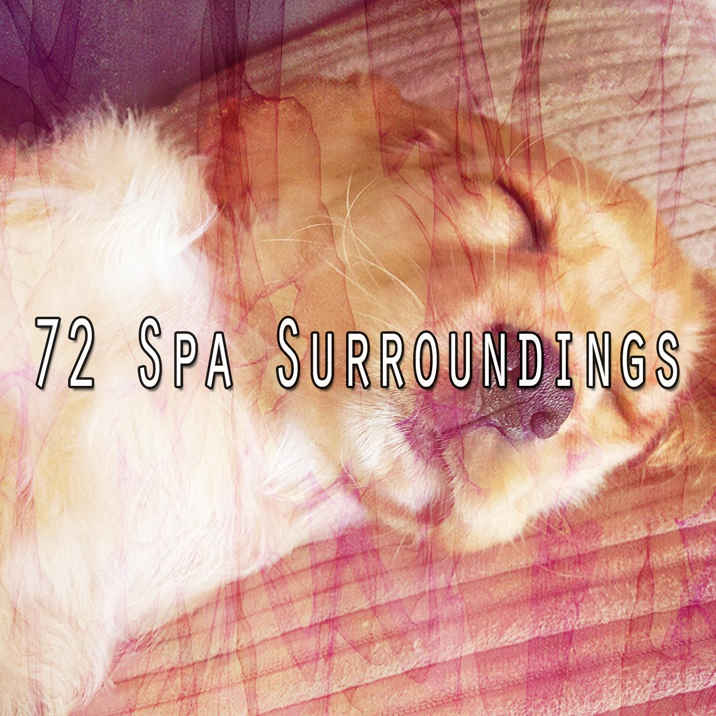 72 Spa Surroundings