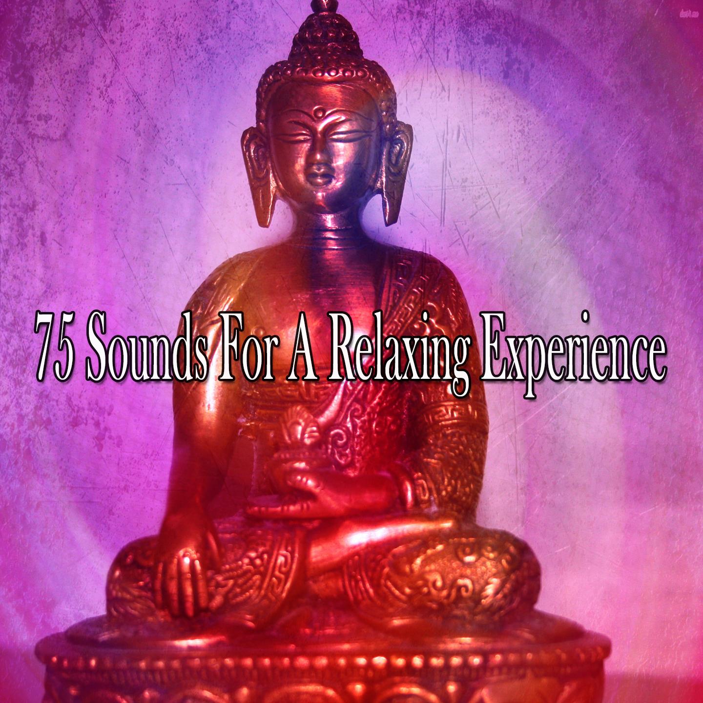 75 Sounds for a Relaxing Experience