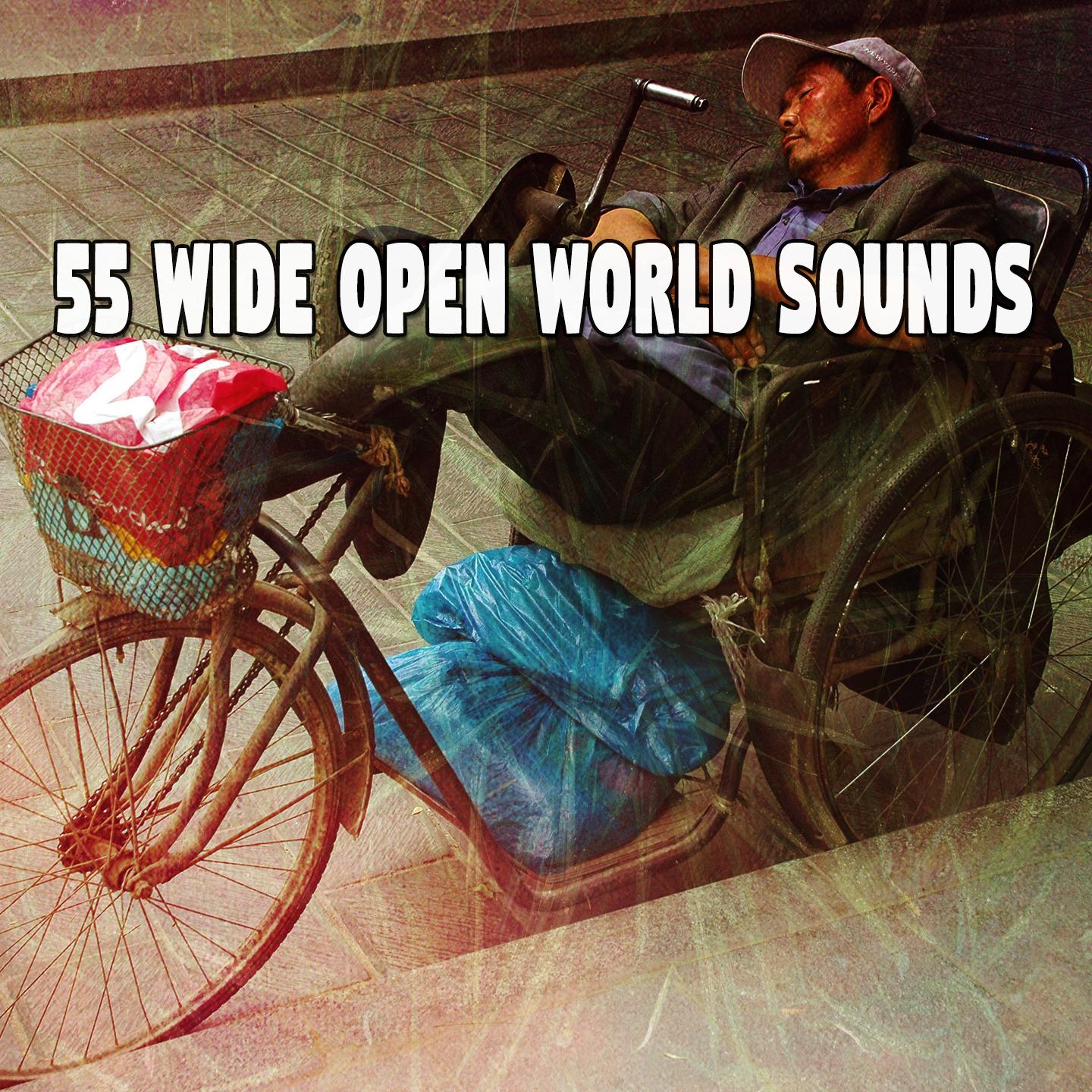 55 Wide Open World Sounds