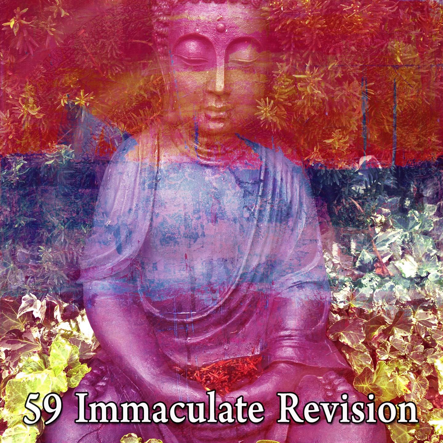 59 Immaculate Revision