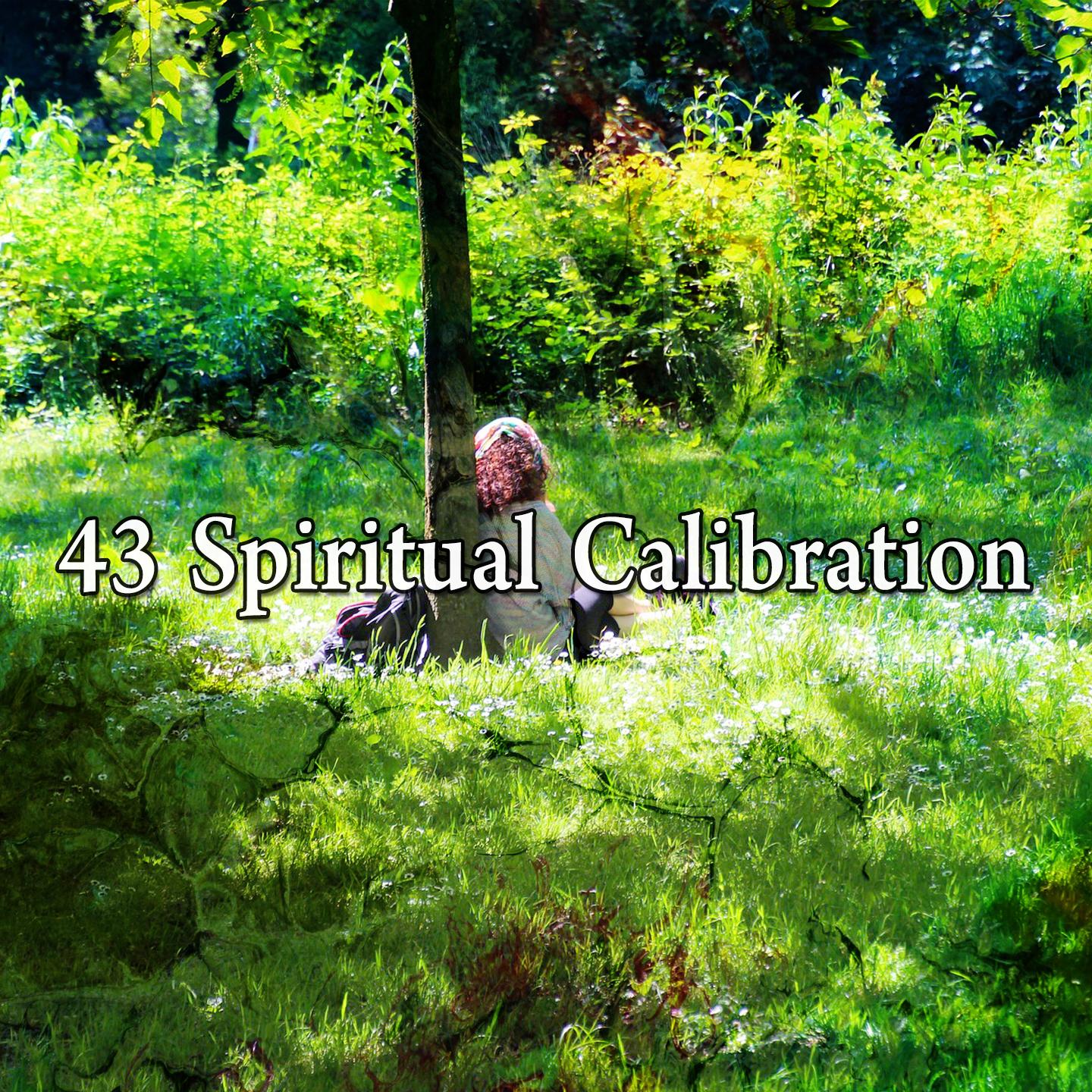 43 Spiritual Calibration