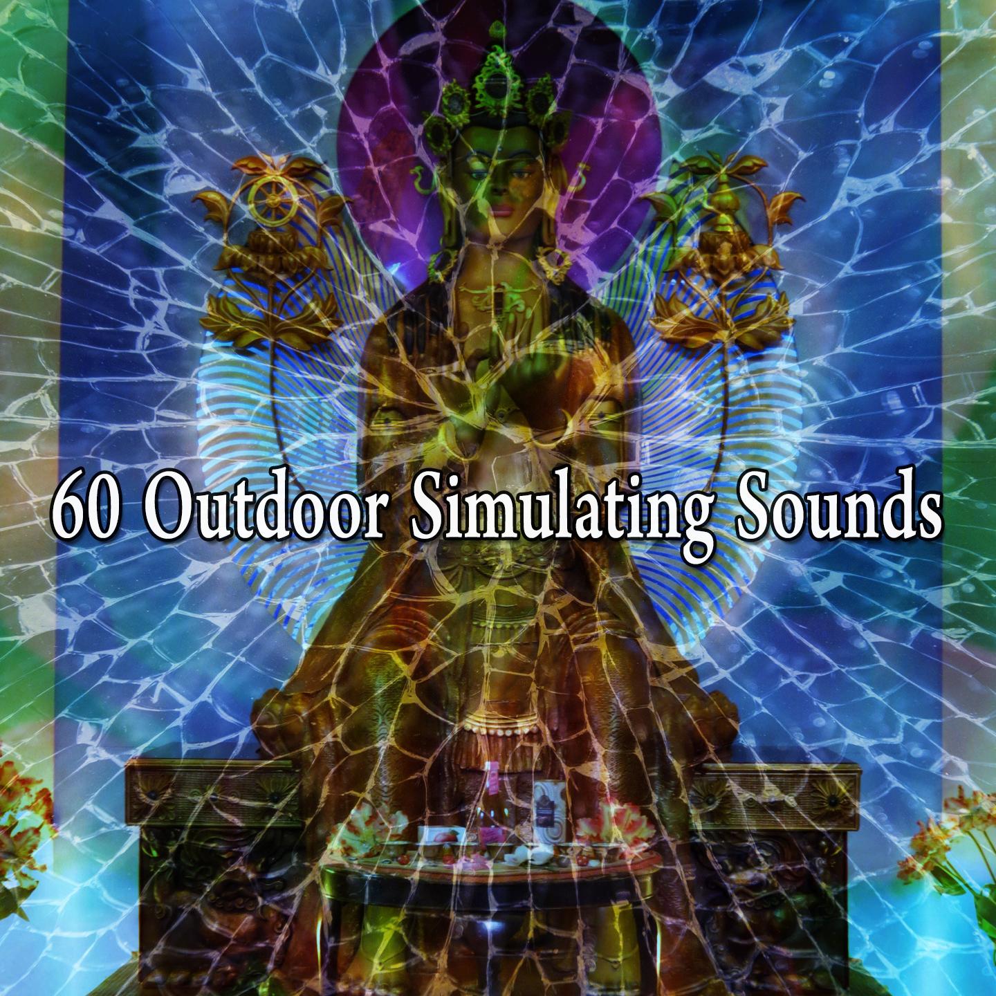 60 Outdoor Simulating Sounds