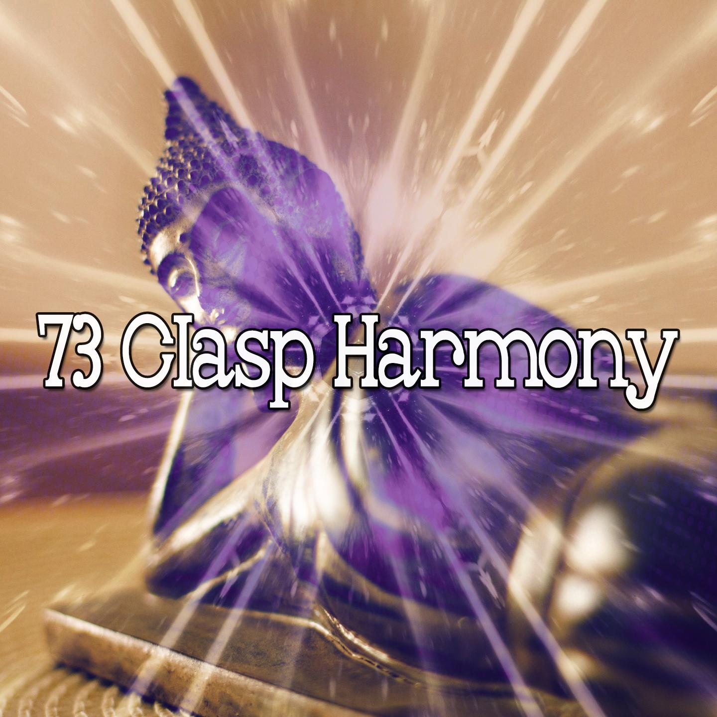 73 Clasp Harmony