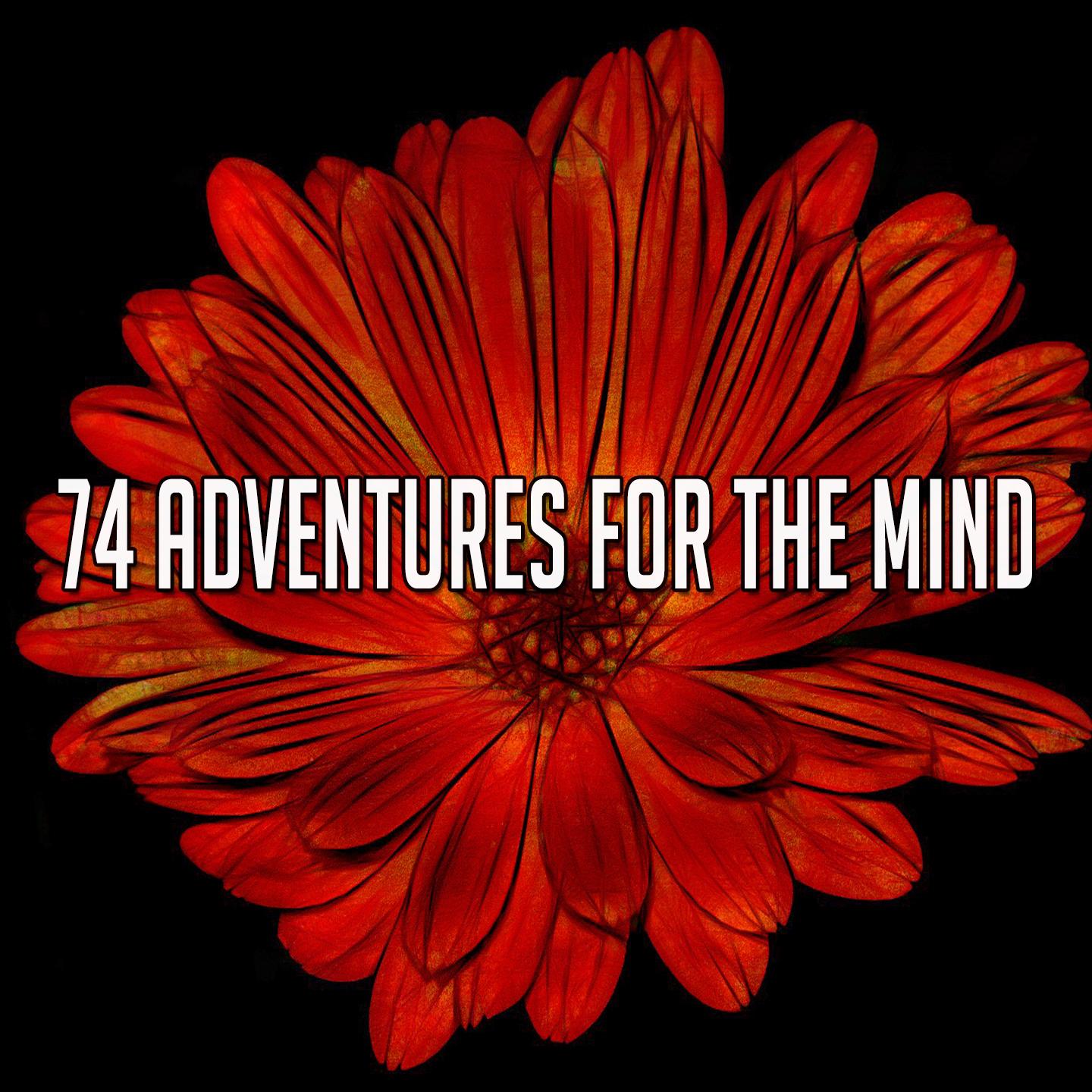 74 Adventures for the Mind