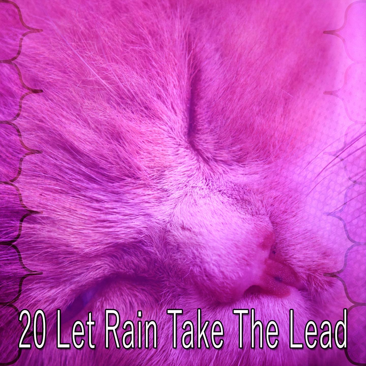 20 Let Rain Take the Lead