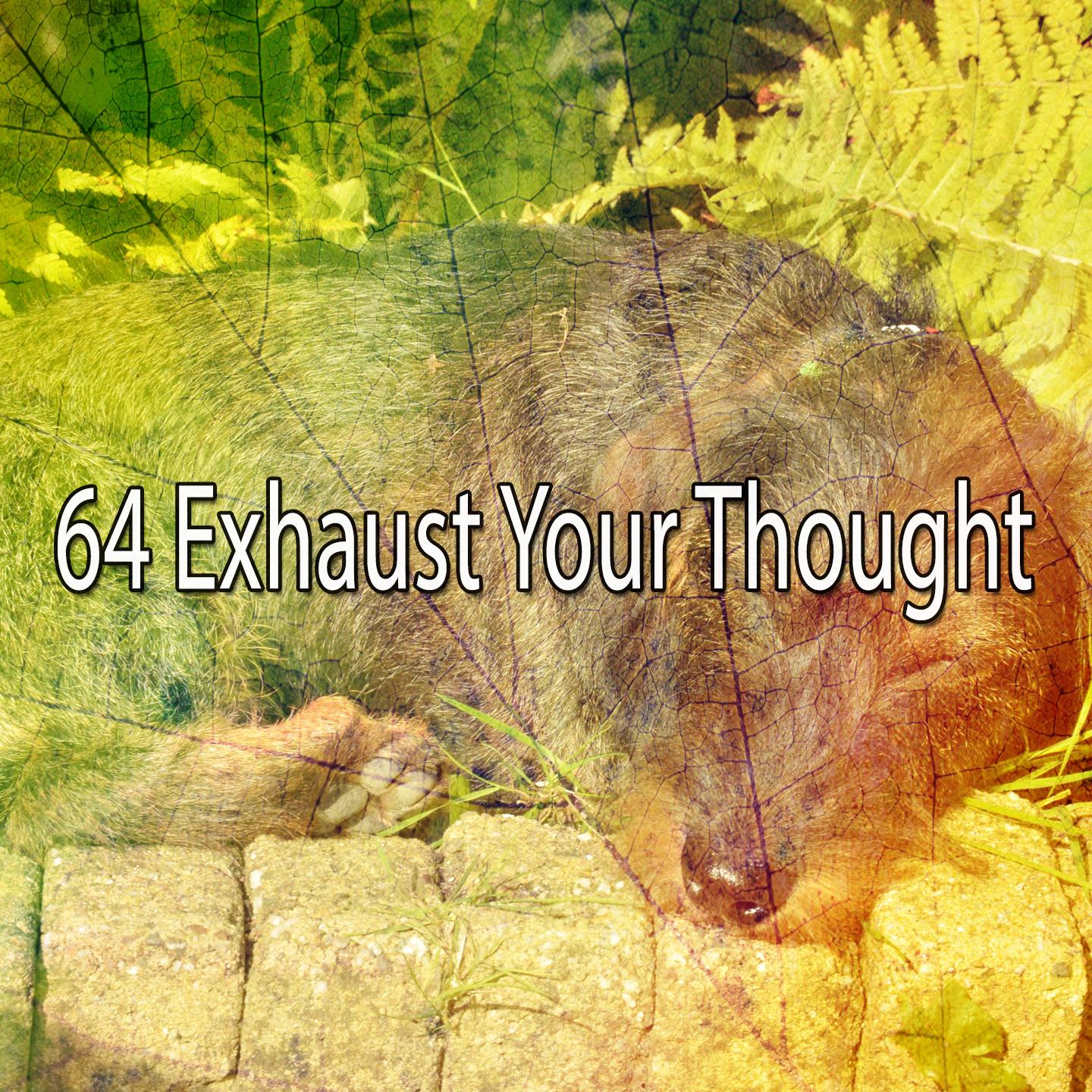 64 Exhaust Your Thought