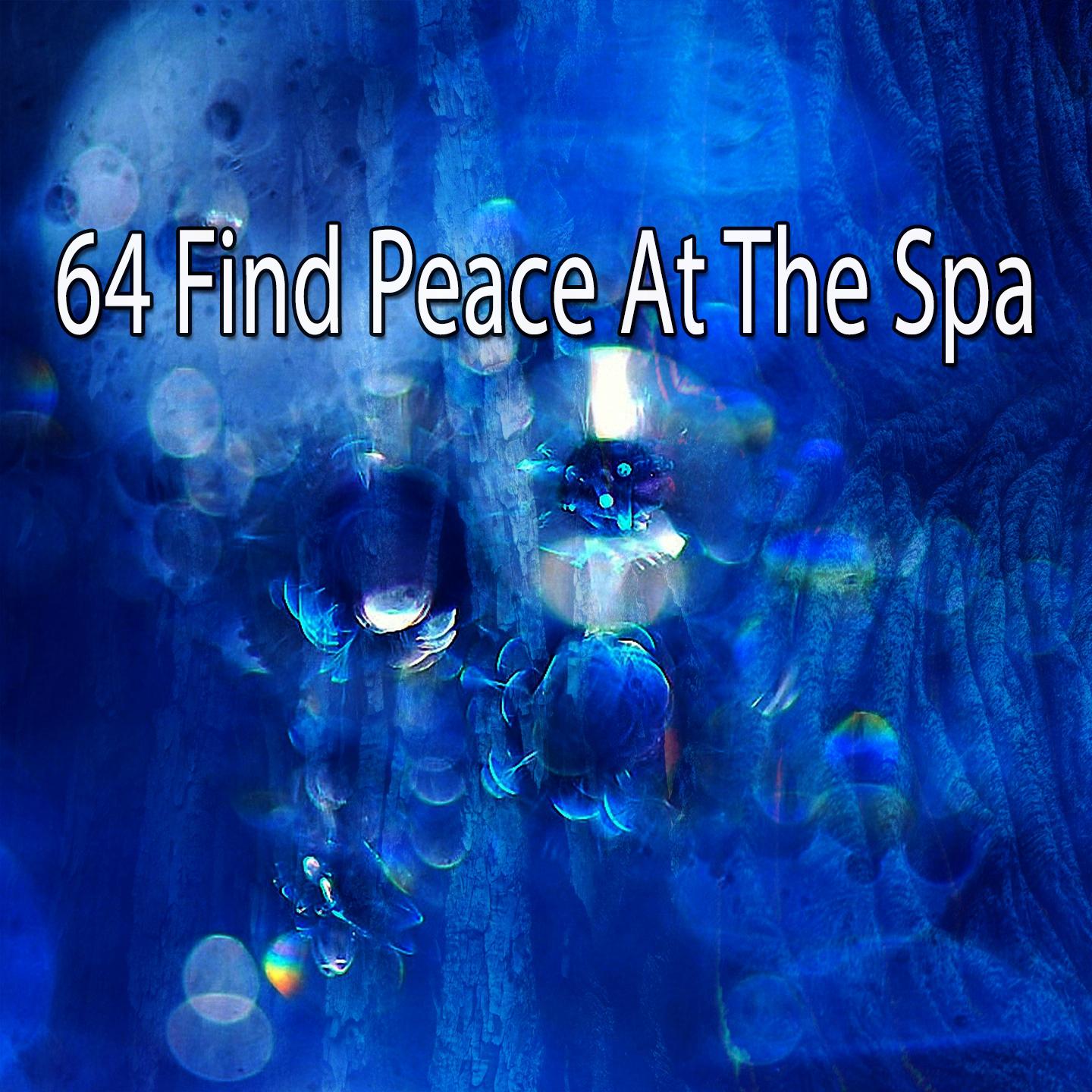 64 Find Peace at the Spa