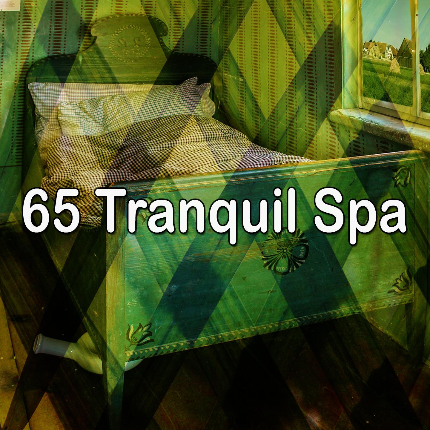 65 Tranquil Spa