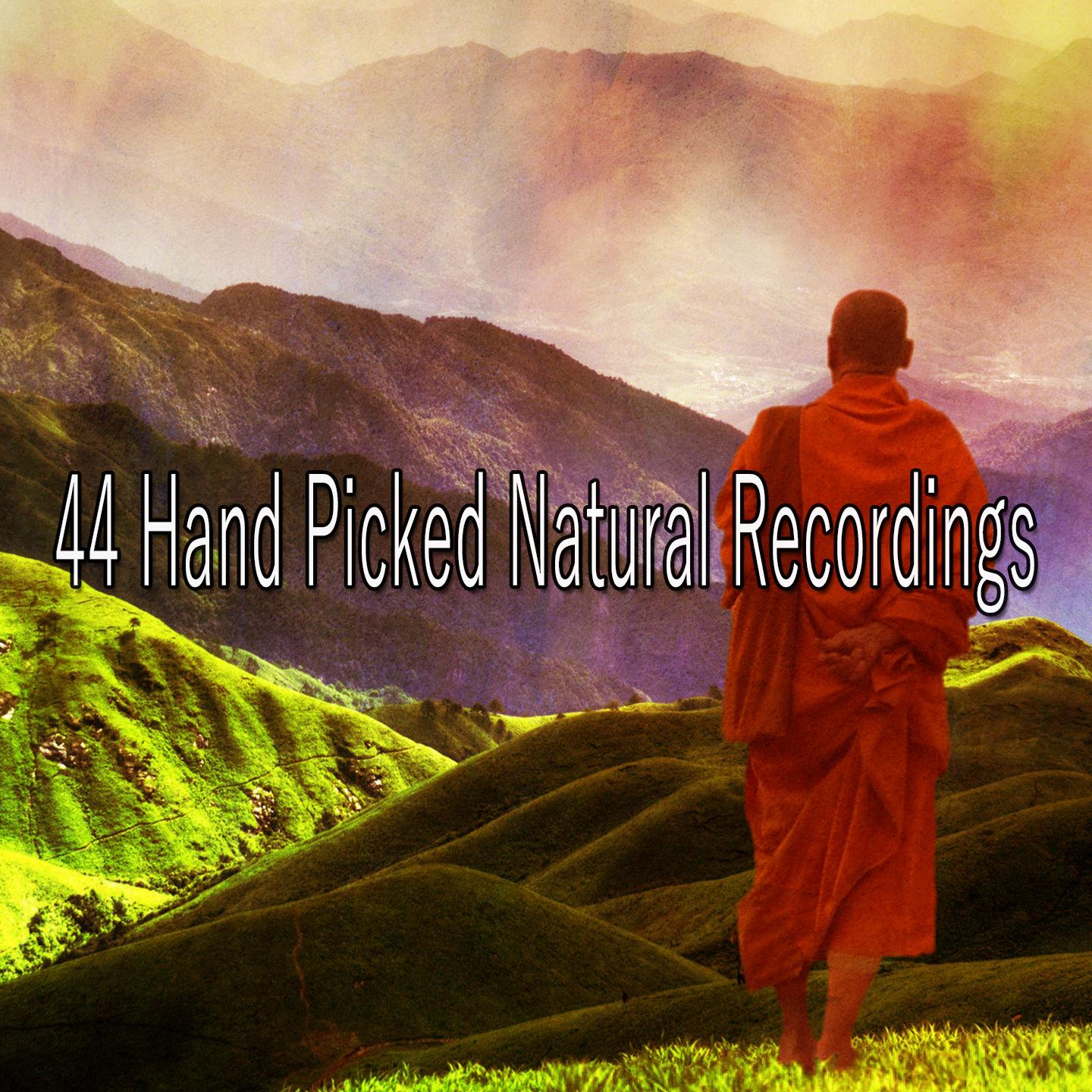 44 Hand Picked Natural Recordings