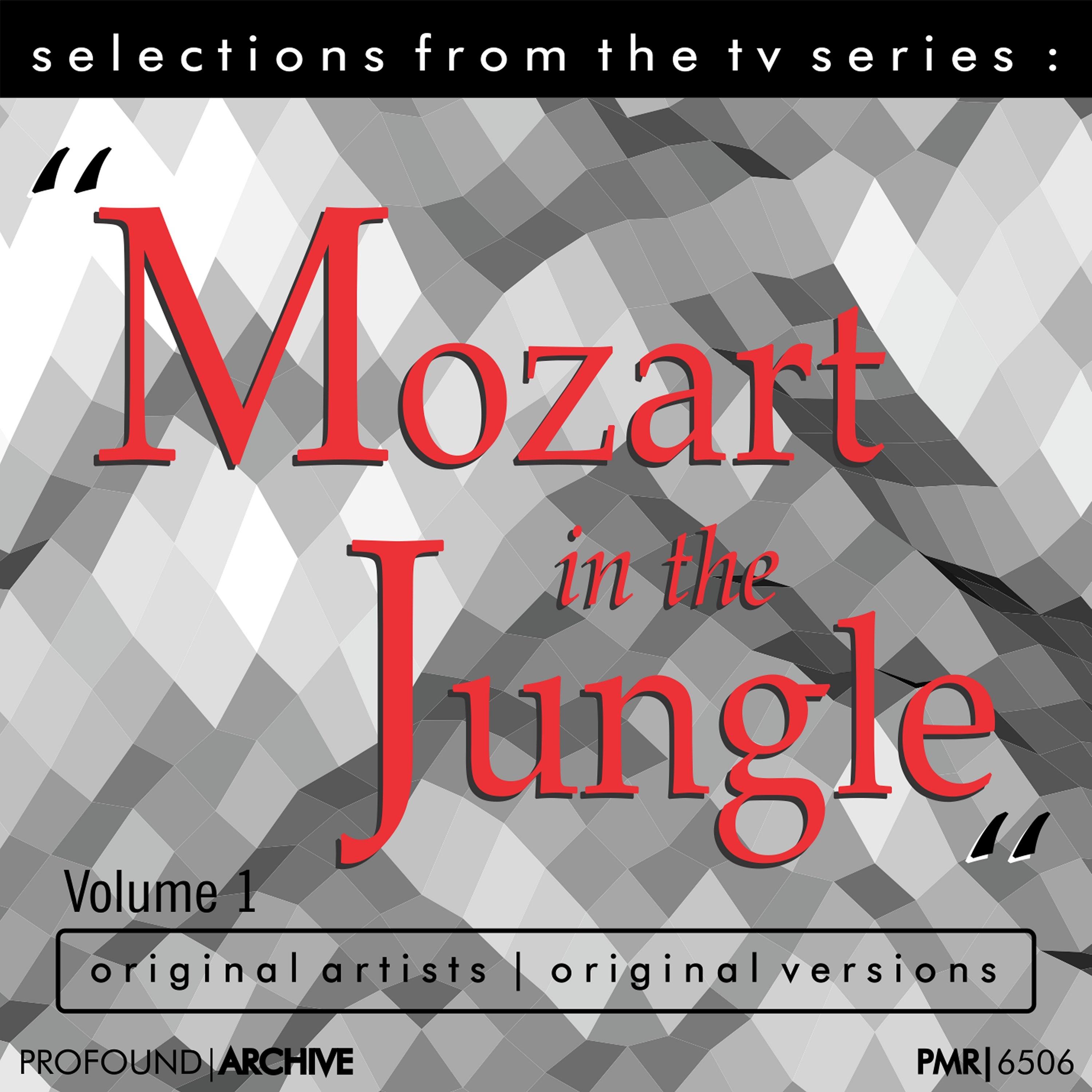 Selections from the TV Serie Mozart in the Jungle Volume 1