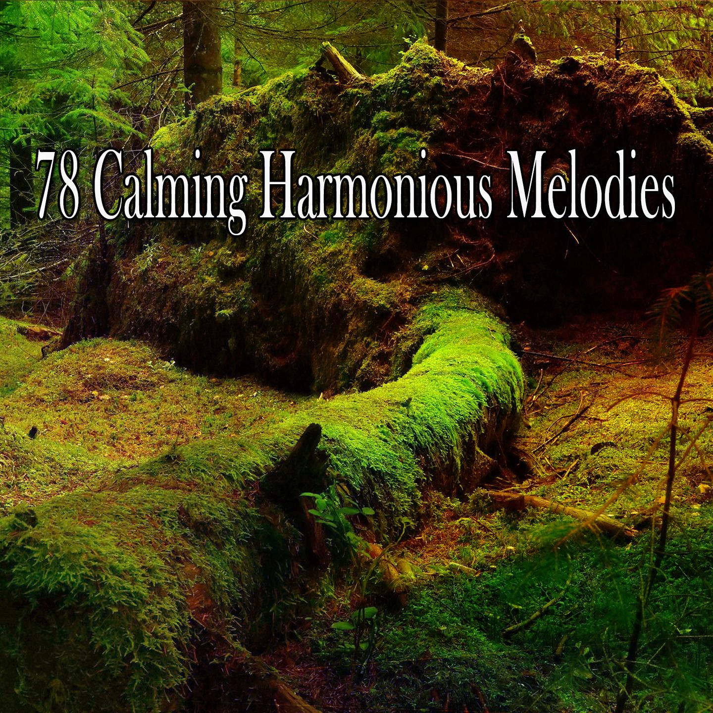 78 Calming Harmonious Melodies