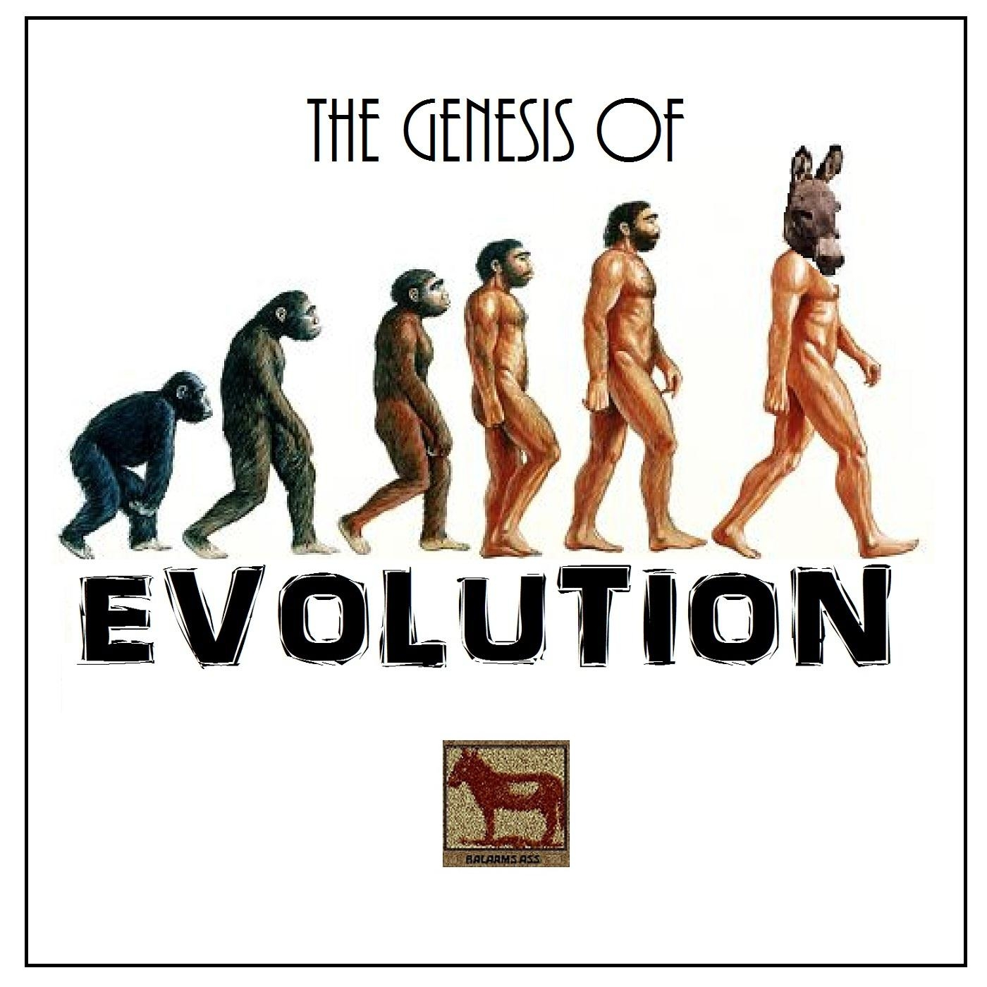 The Genesis of Evolution