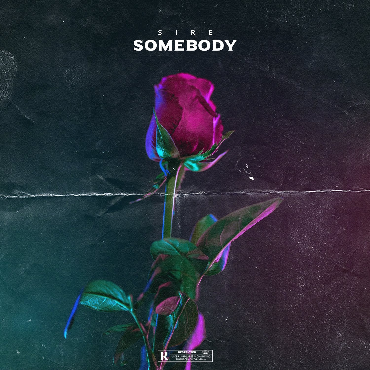 Somebody