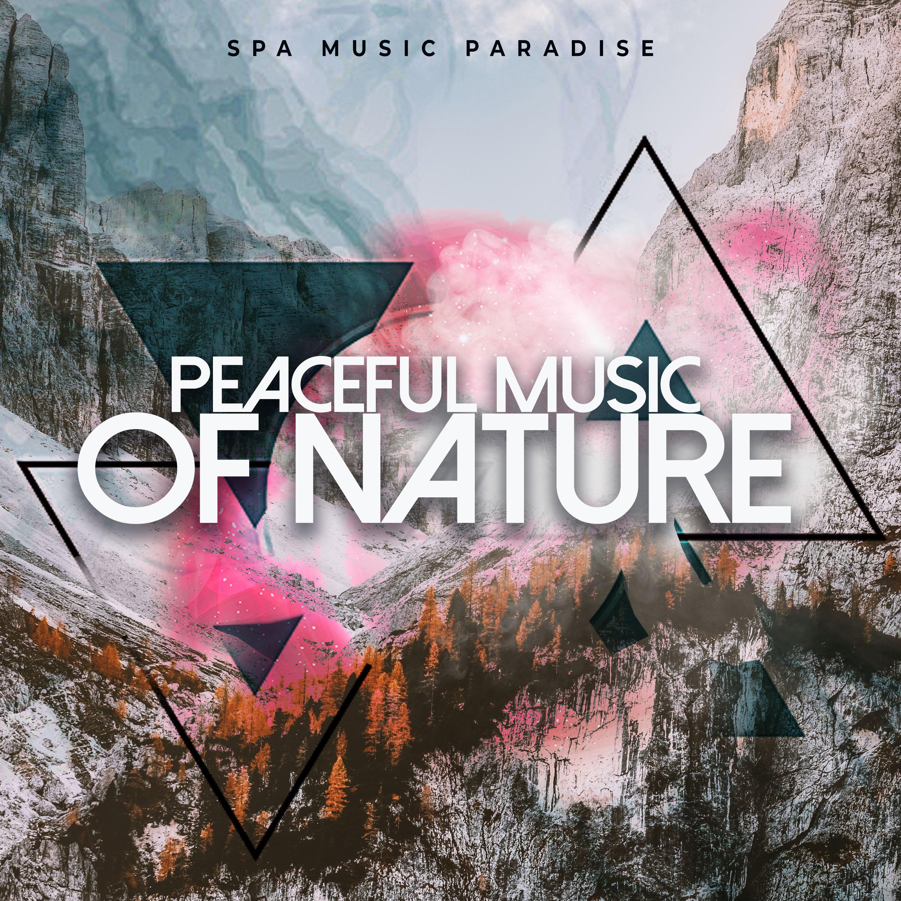 Peaceful Music of Nature