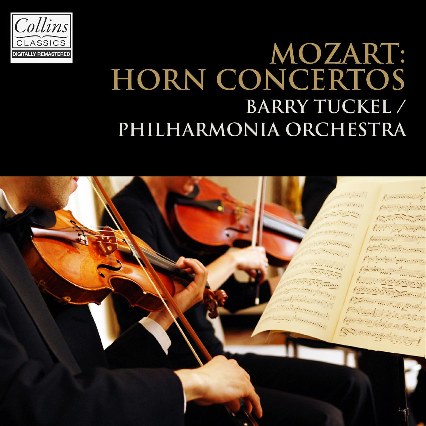 Horn Concerto No. 2 in E-Flat Major, K. 417: II. Andante