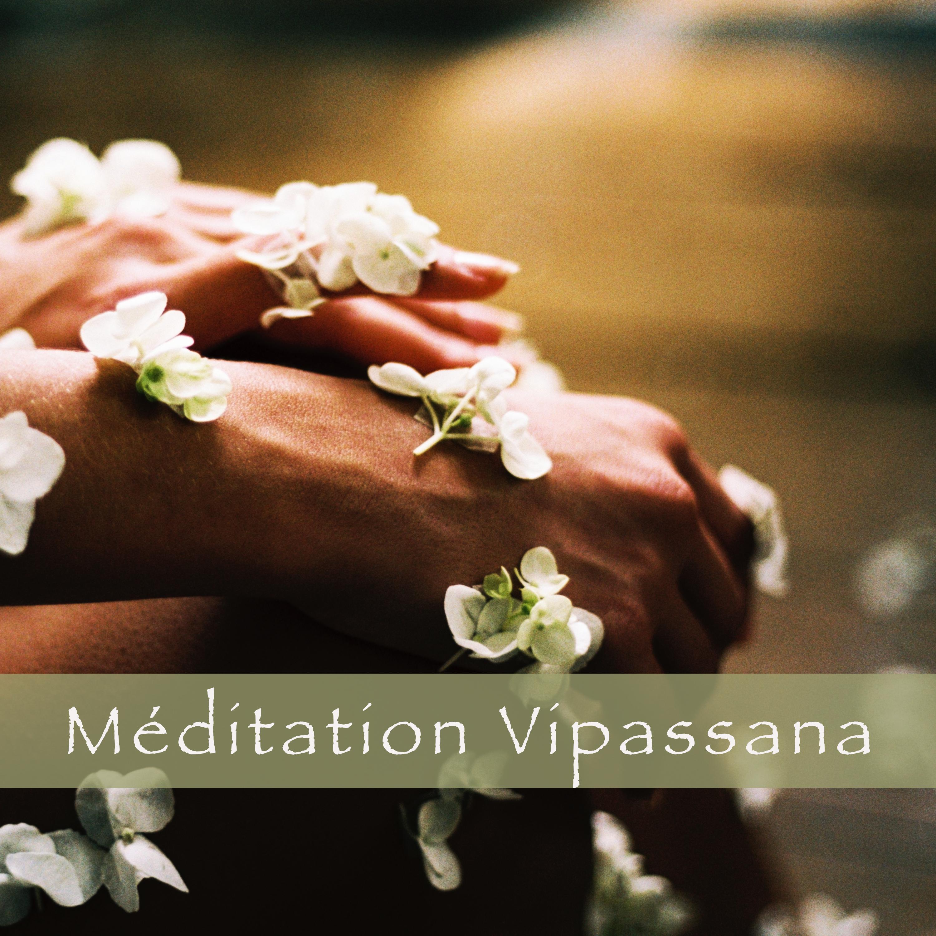 Vipassana, une me thode de transformation de soi