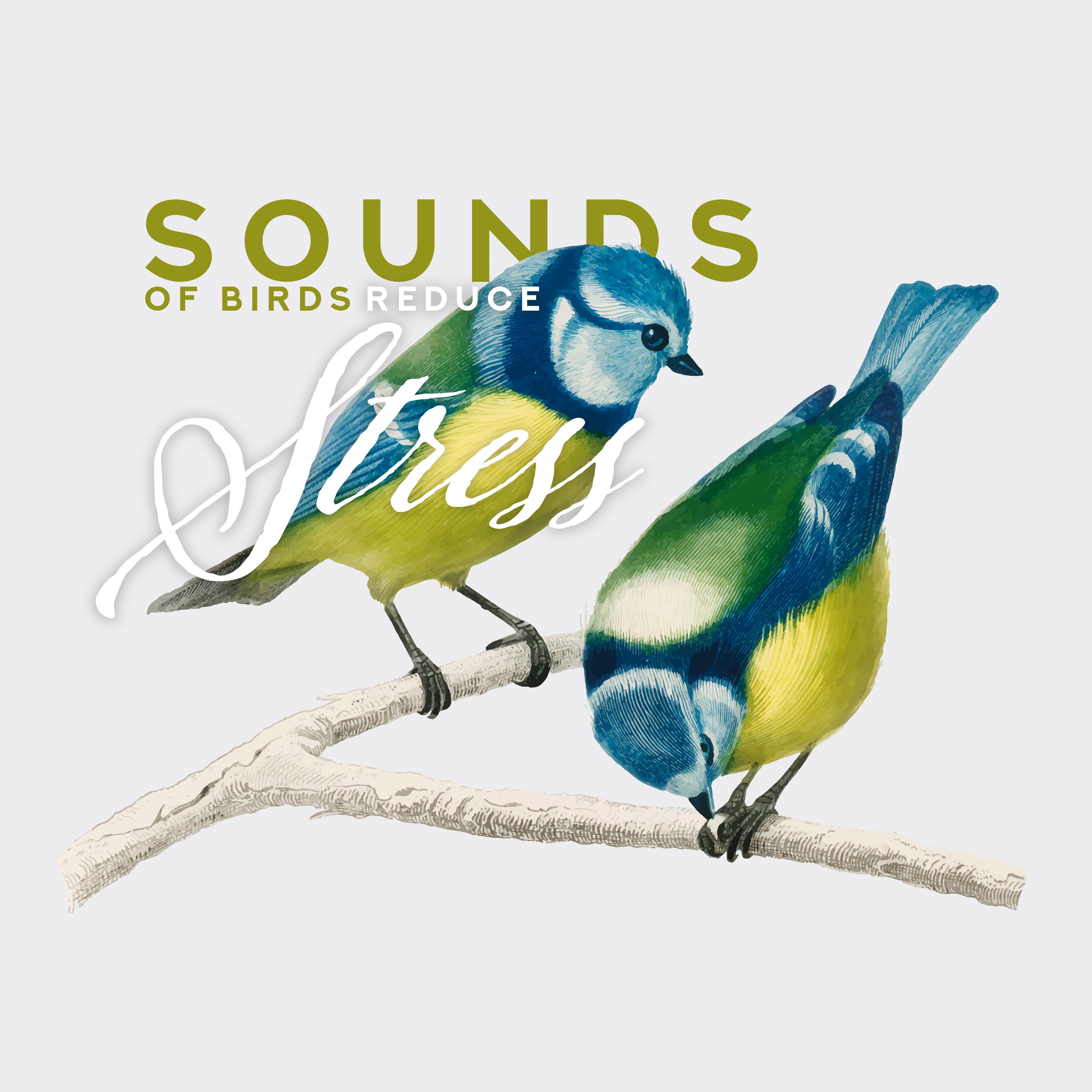 Sounds of Birds Reduce Stress: Relaxing Music Therapy, Pure Mind, Nature Sounds for Relaxation & Rest, Deep Meditation, Zen Serenity