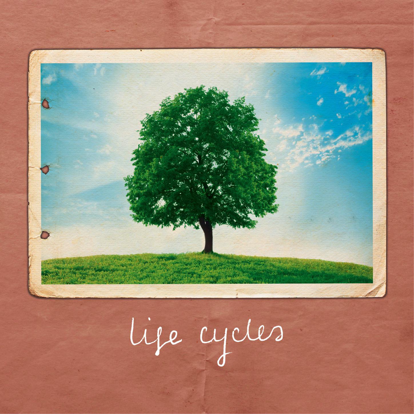 Life Cycles