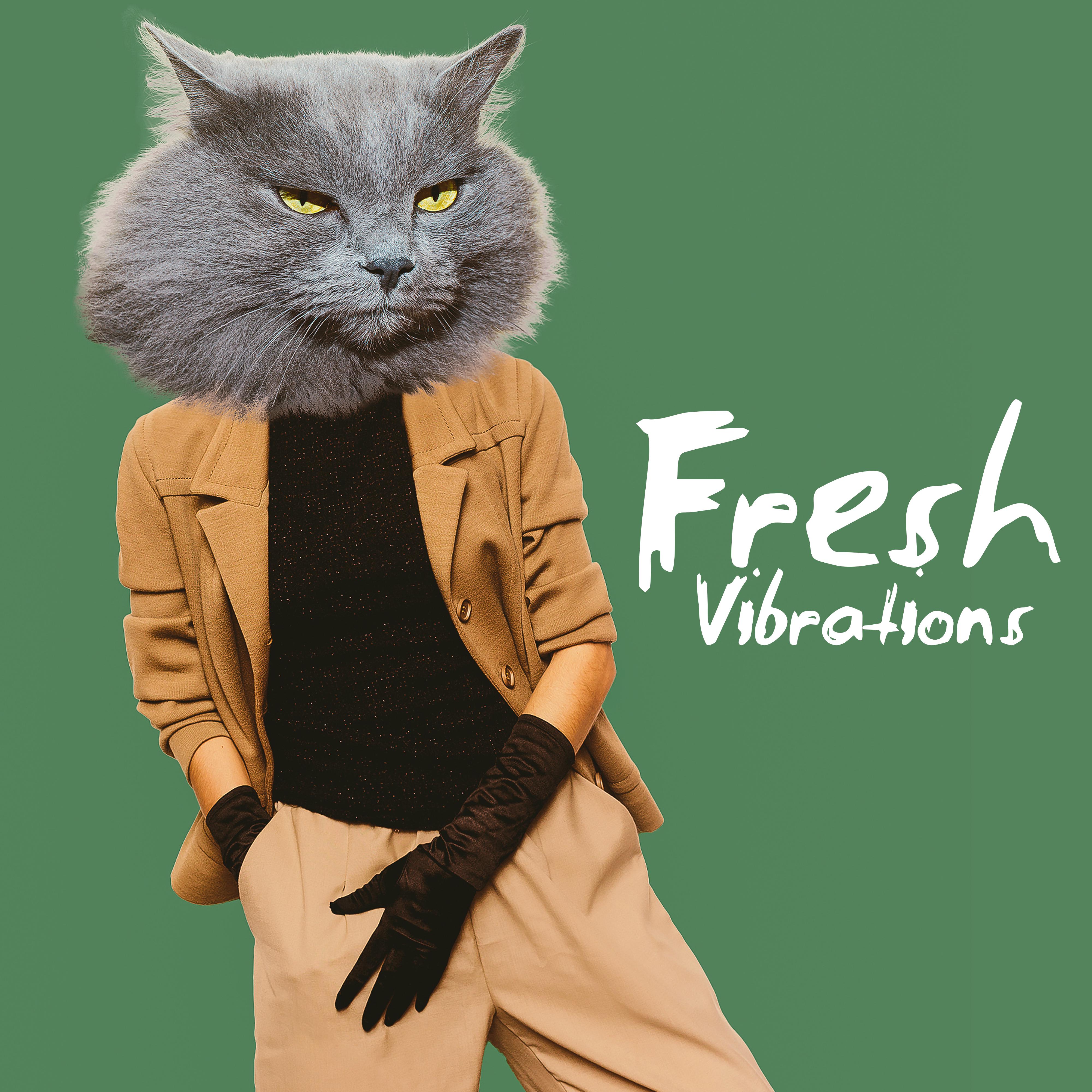 Fresh Vibrations  Summertime 2019, Relaxing Melodies to Rest, Sunny Break, Sunshine Lounge, Chillout Bar, Ibiza Relaxation