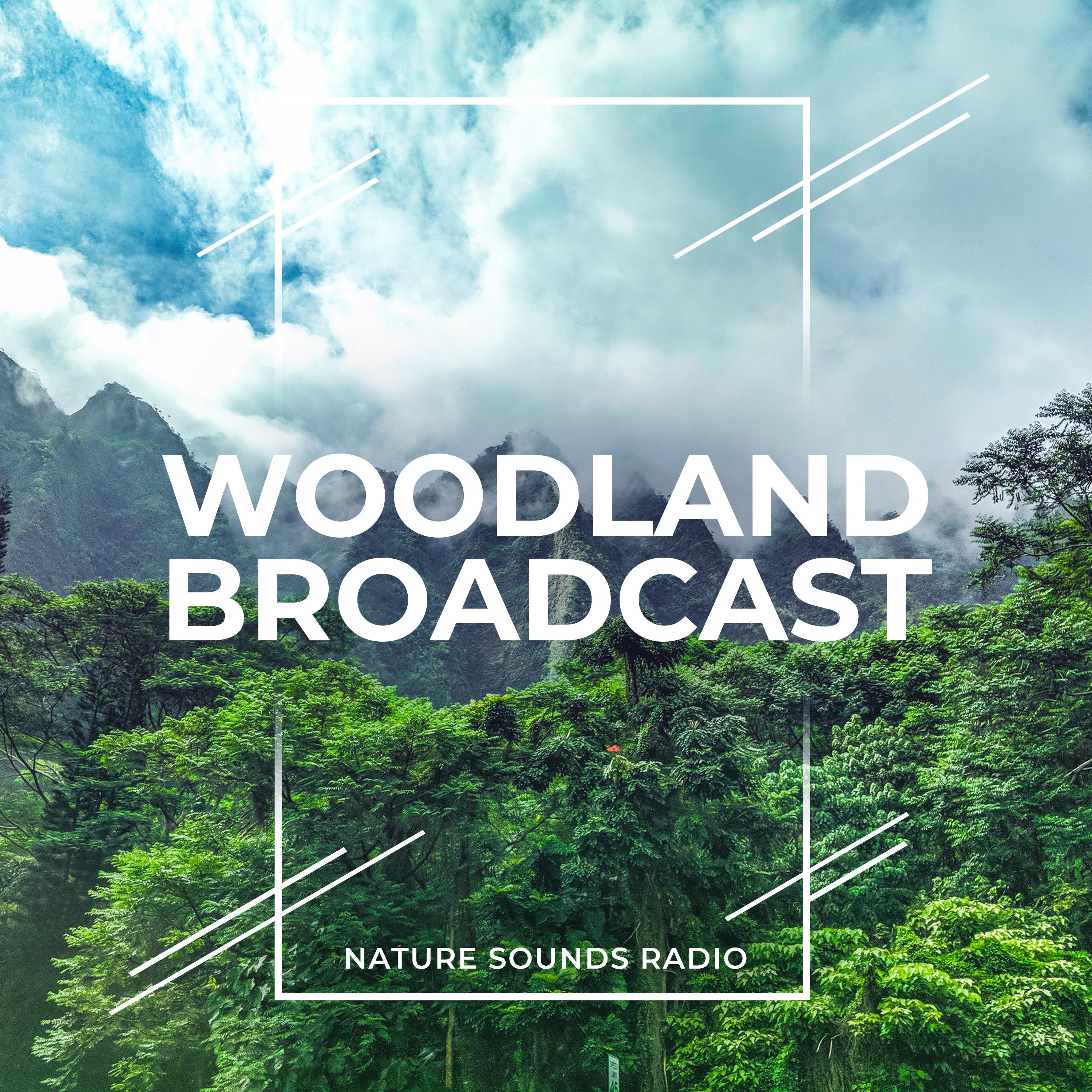 Woodland Broadcast