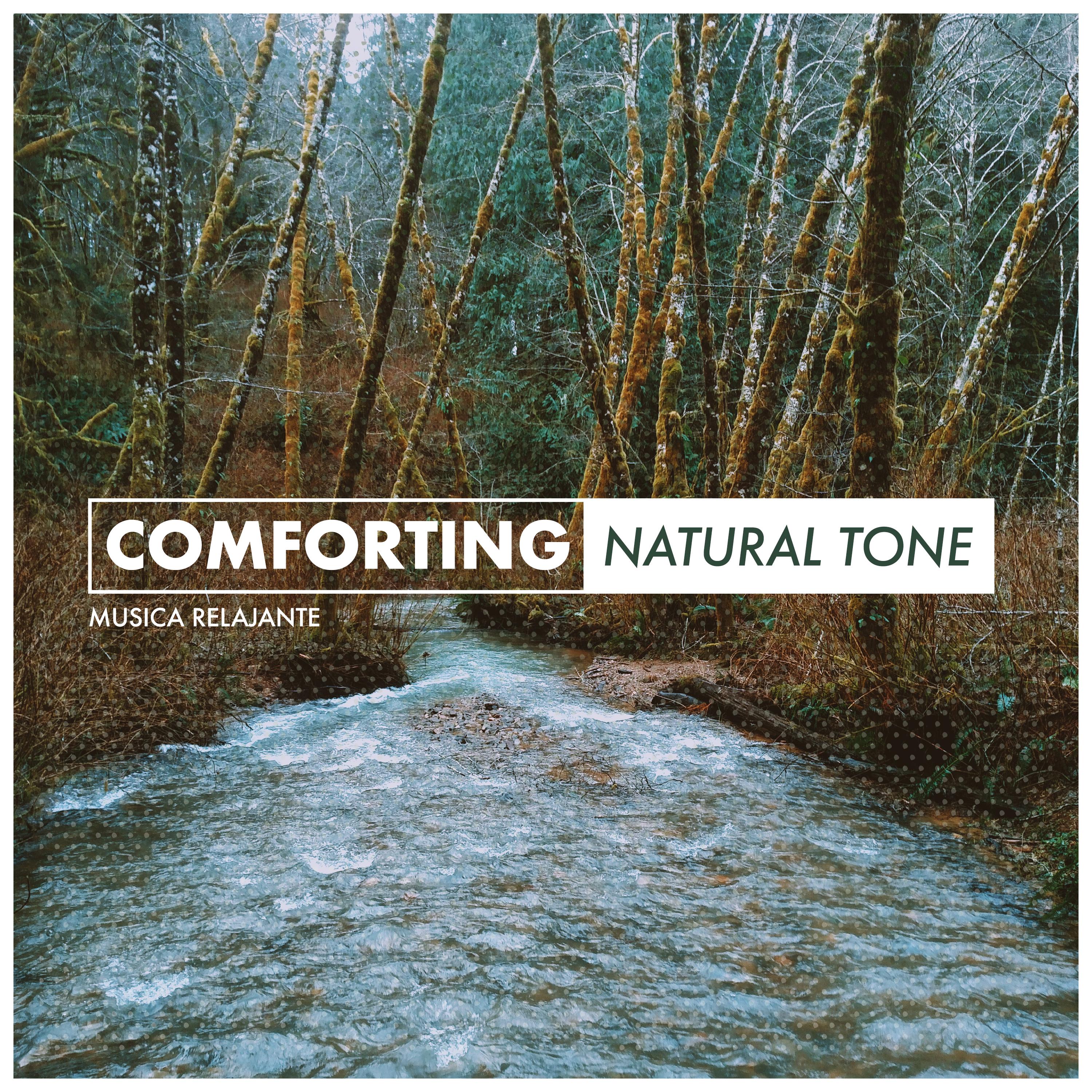 Comforting Natural Tone