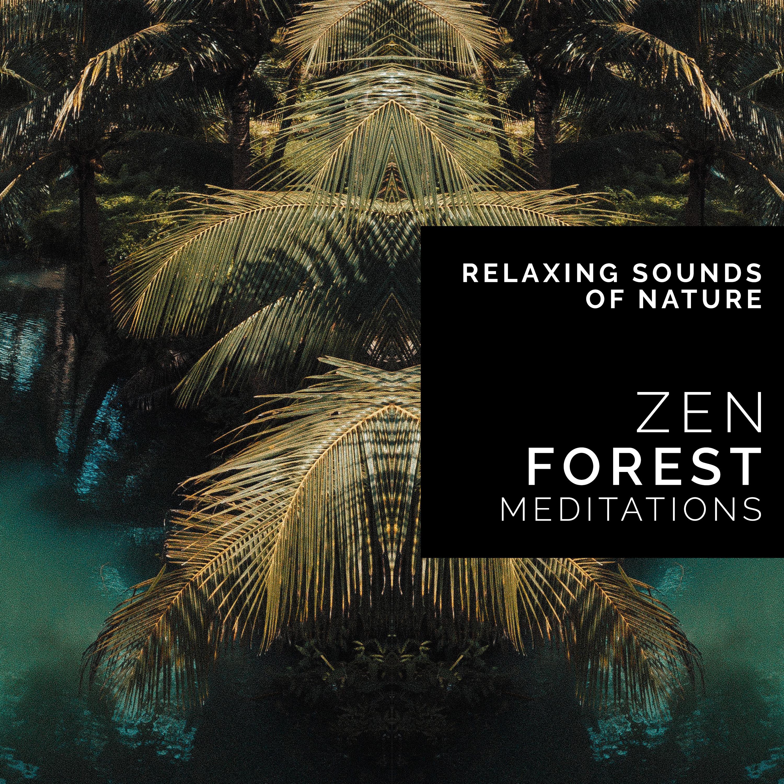 Zen Forest Meditations