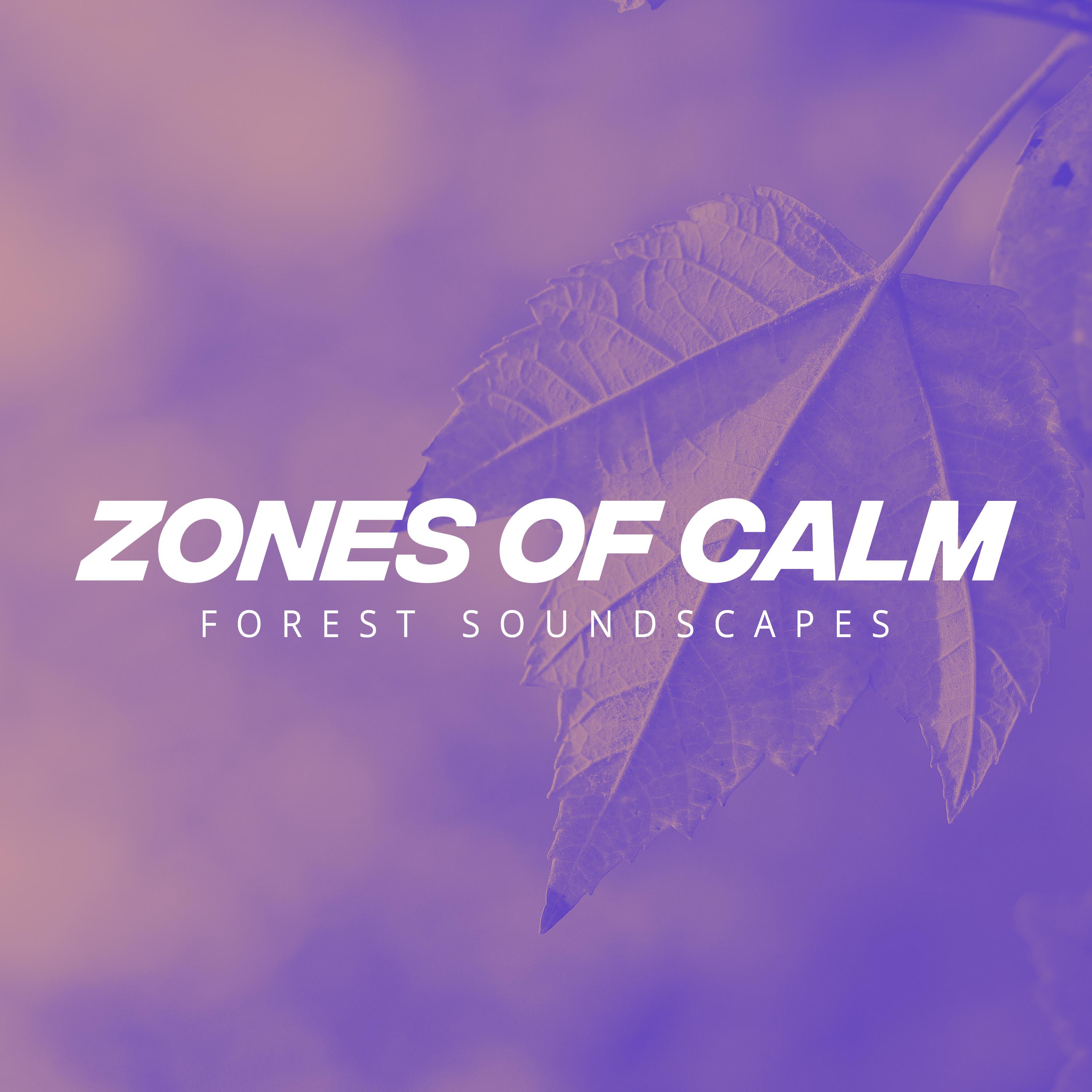 Zones of Calm