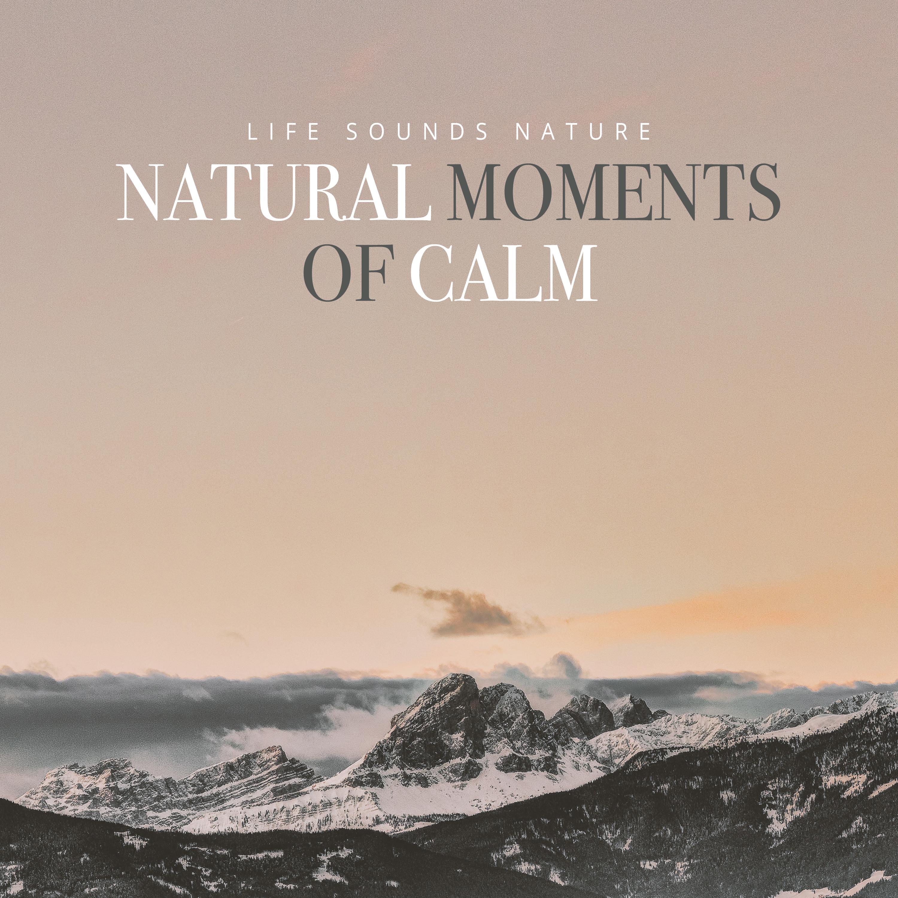 Natural Moments of Calm