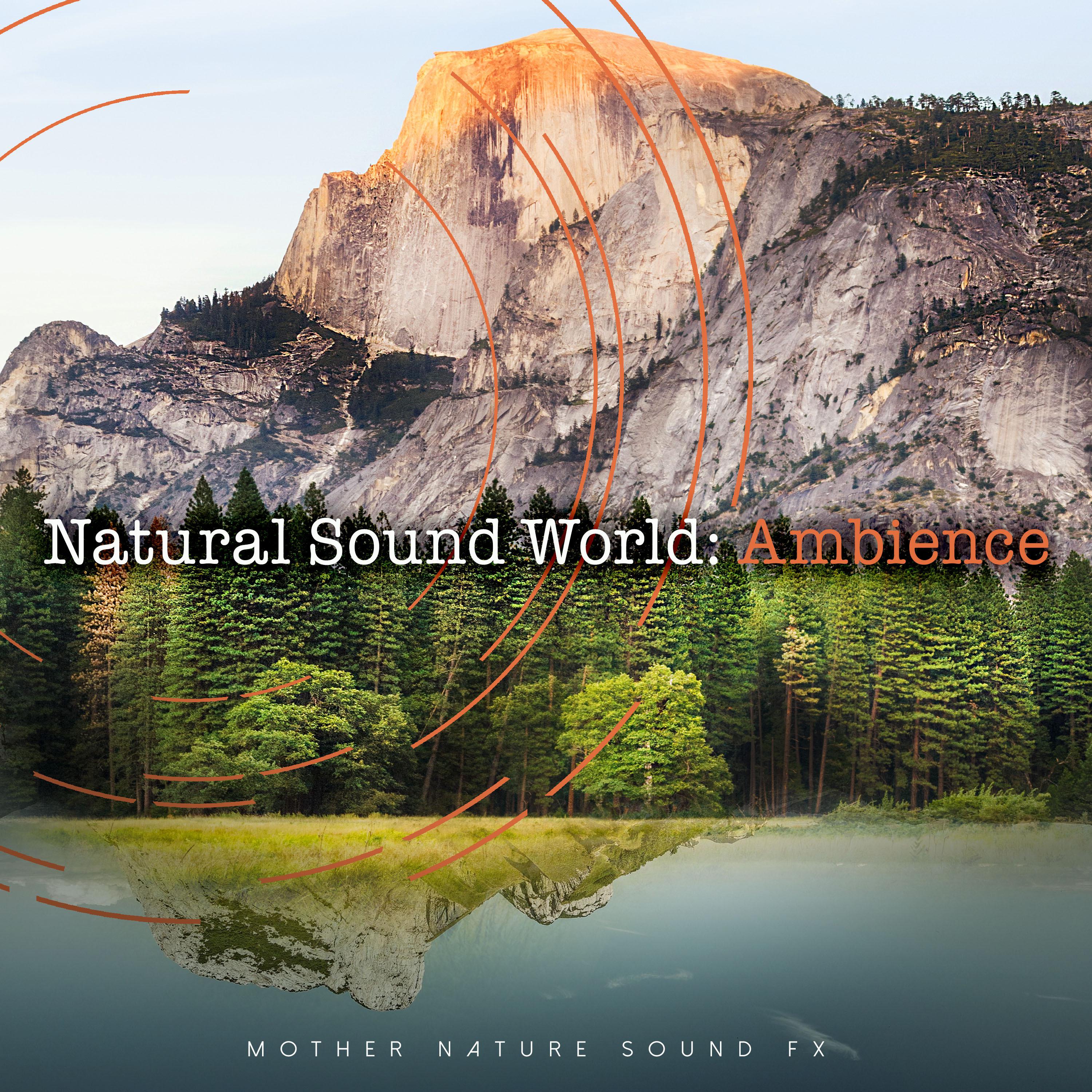 Natural Sound World: Ambience