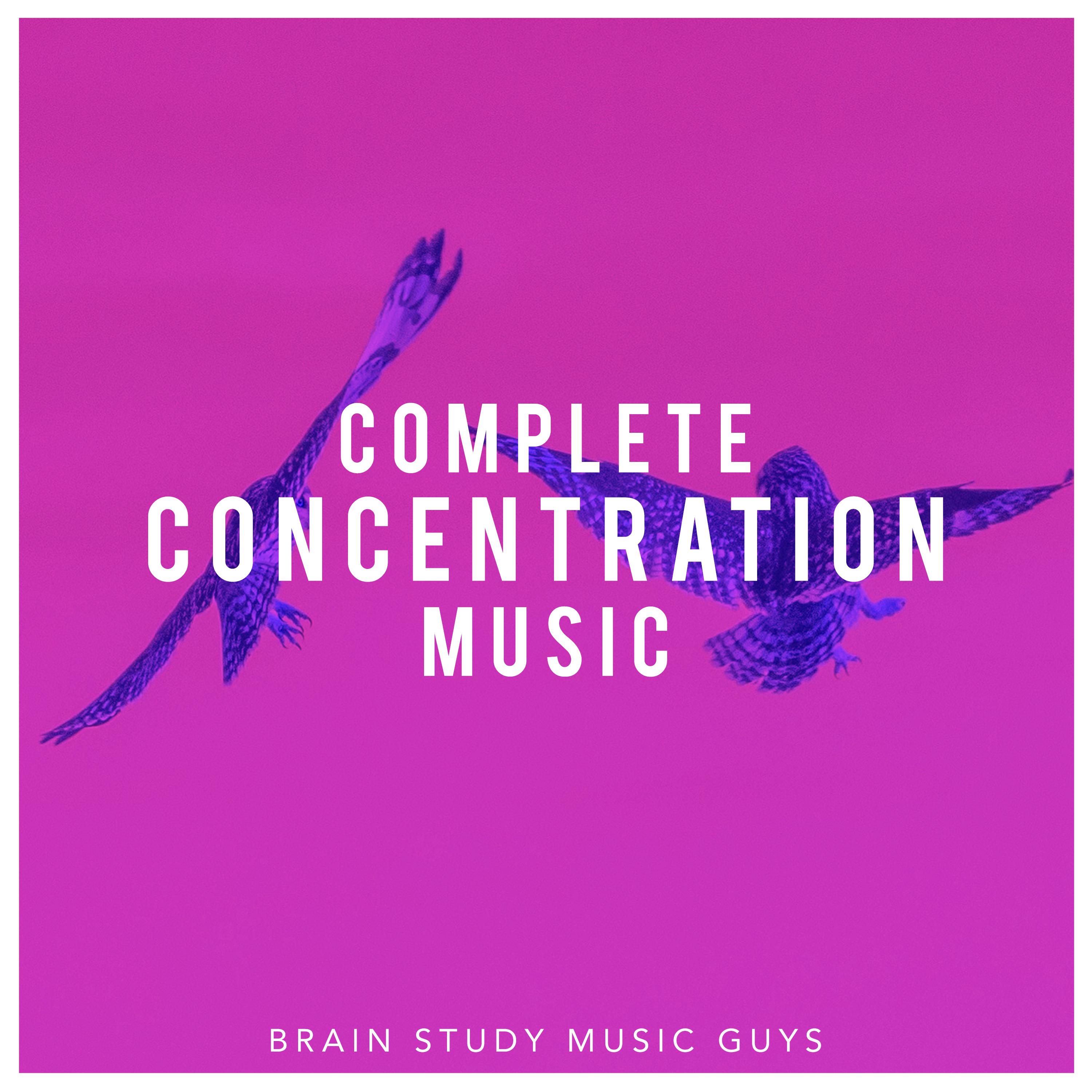 Complete Concentration Music