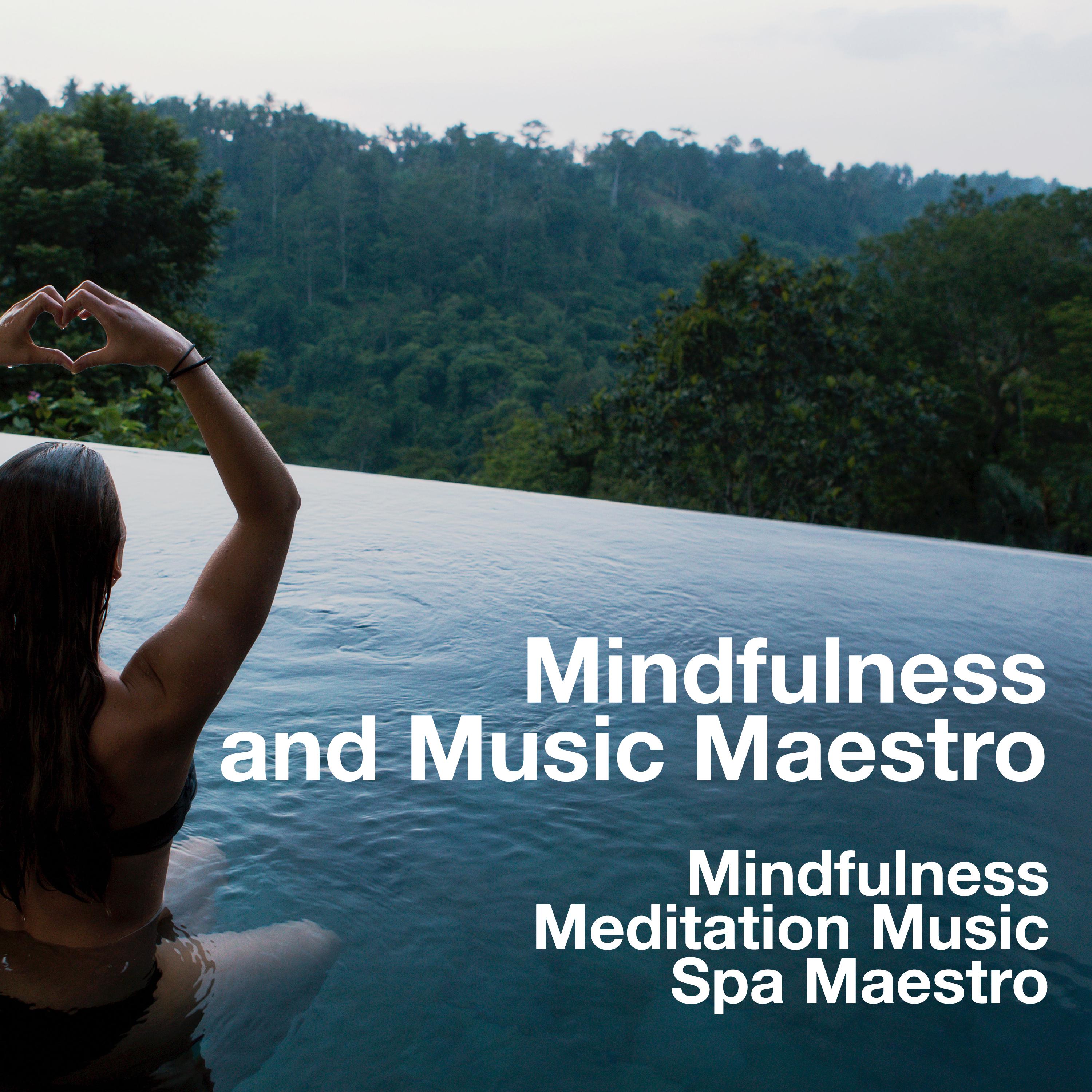 Mindfulness and Music Maestro