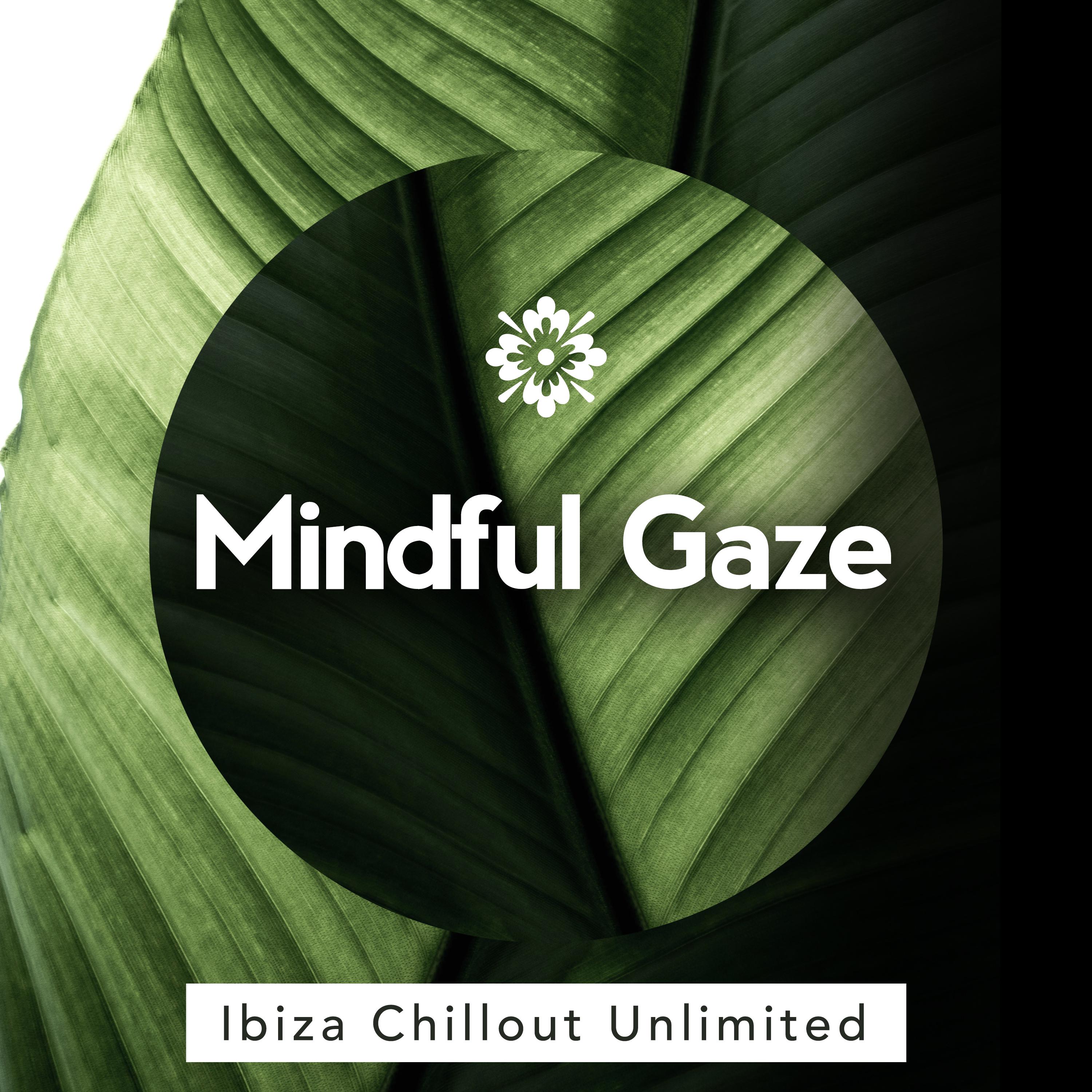 Mindful Gaze