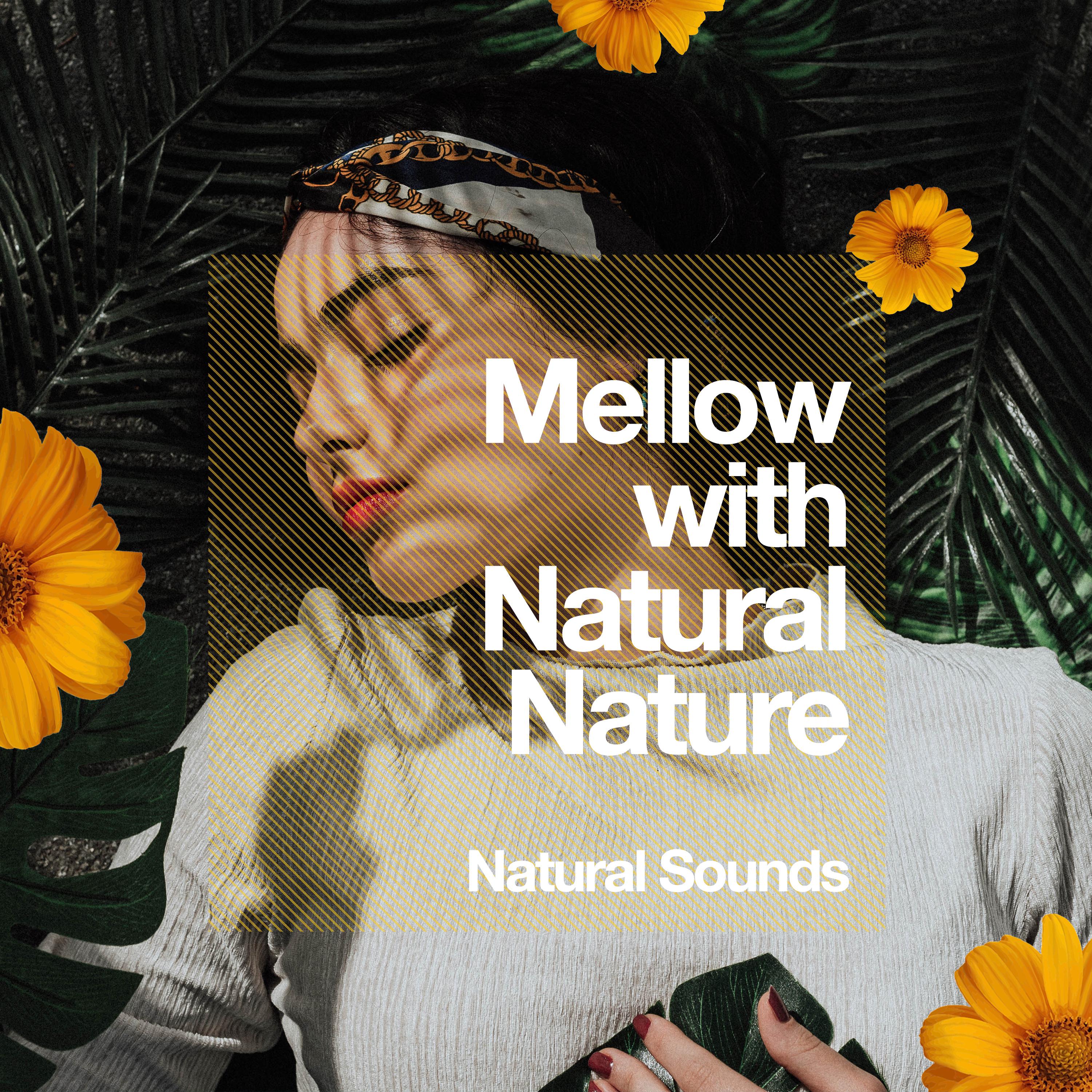 Mellow with Natural Nature