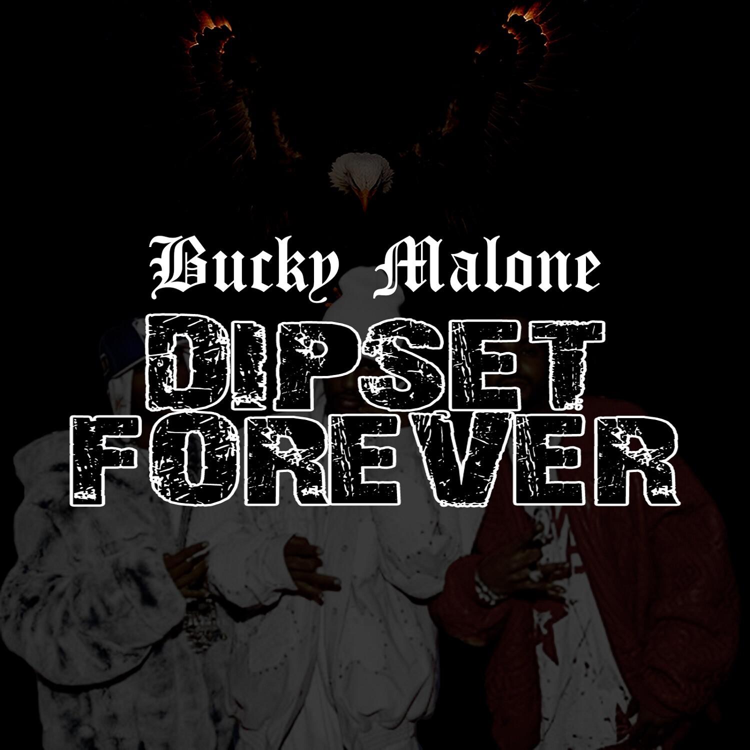 Dipset Forever - Single