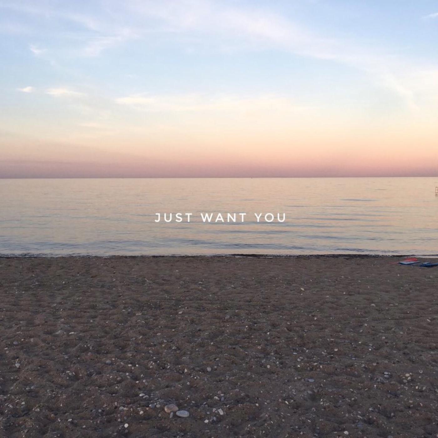 Just Want You